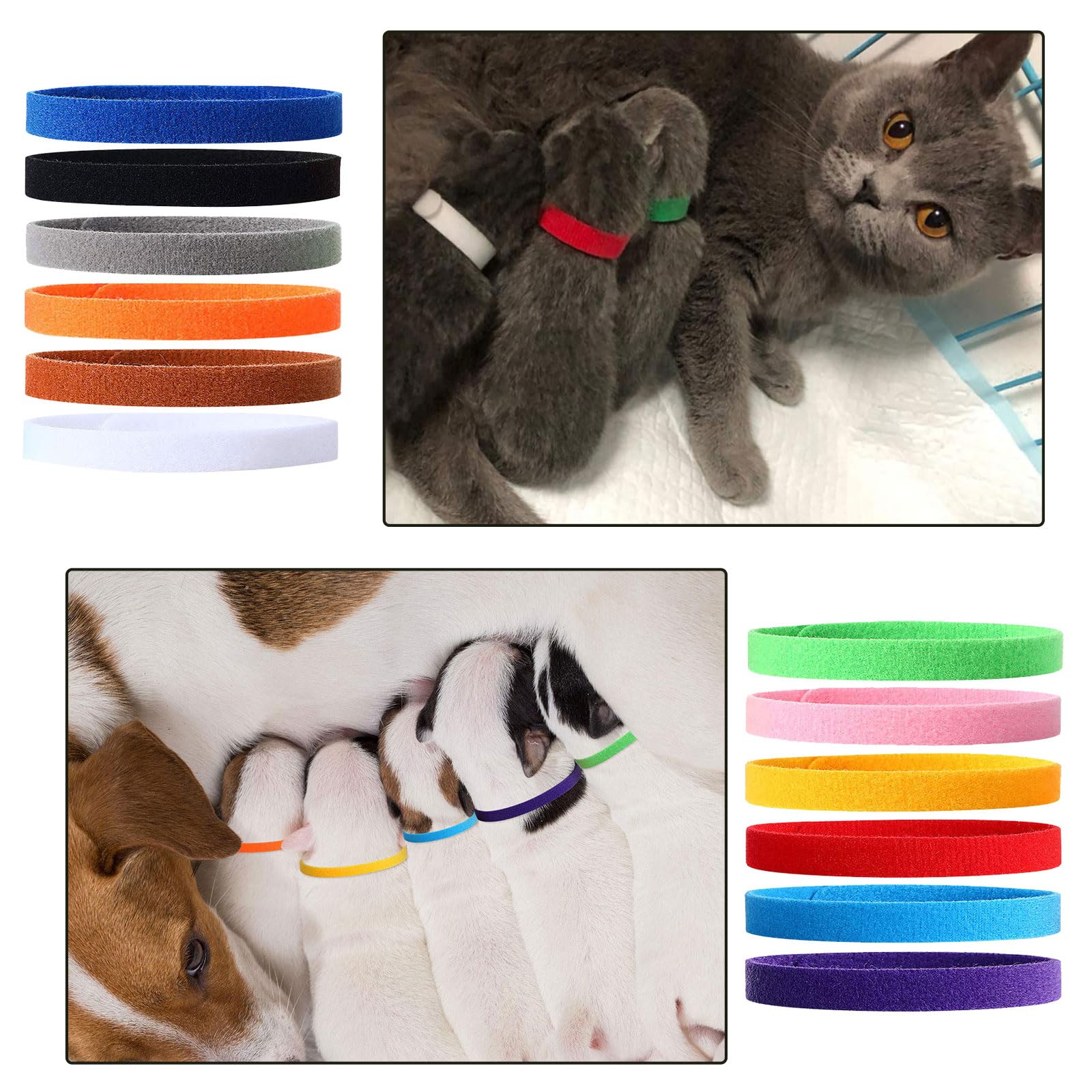 Colliers d'identification pour chiots réglables - Lot de 12 couleurs