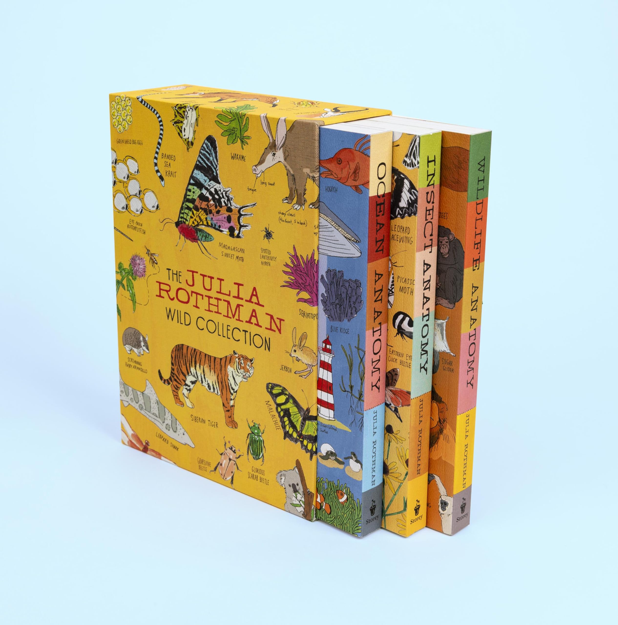 The Julia Rothman Wild Collection: Ocean Anatomy, Wildlife Anatomy, Insect Anatomy