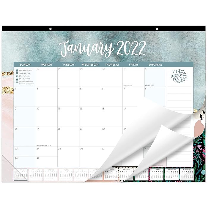 Buy bloom daily planners 2022 Calendar Year Desk/Wall Monthly Calendar
