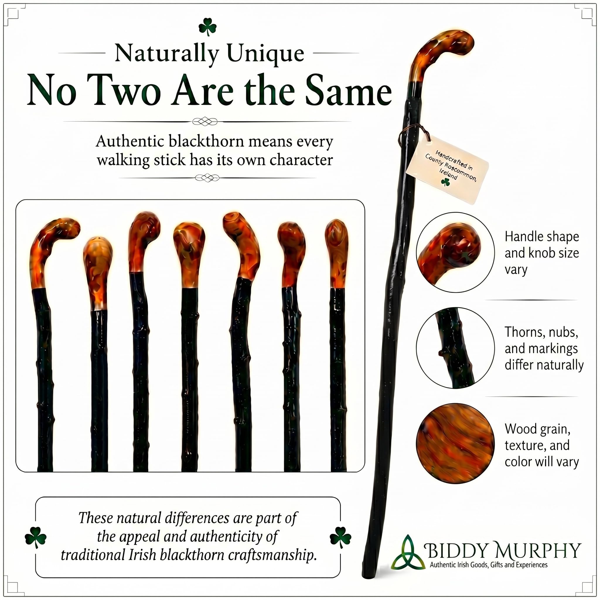 Biddy Murphy Shillelagh - Bastón de Madera de espino Negro Hecho a Mano, Fabricado en Irlanda, Acabado Lacado Negro | Bastón de madera de espino 100% hecho a mano, asas únicas, lacado negro de alto brillo, 36 pulgadas de largo