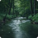 Conception audio de haute qualité pour les paysages sonores immersifs et la relaxation maximale