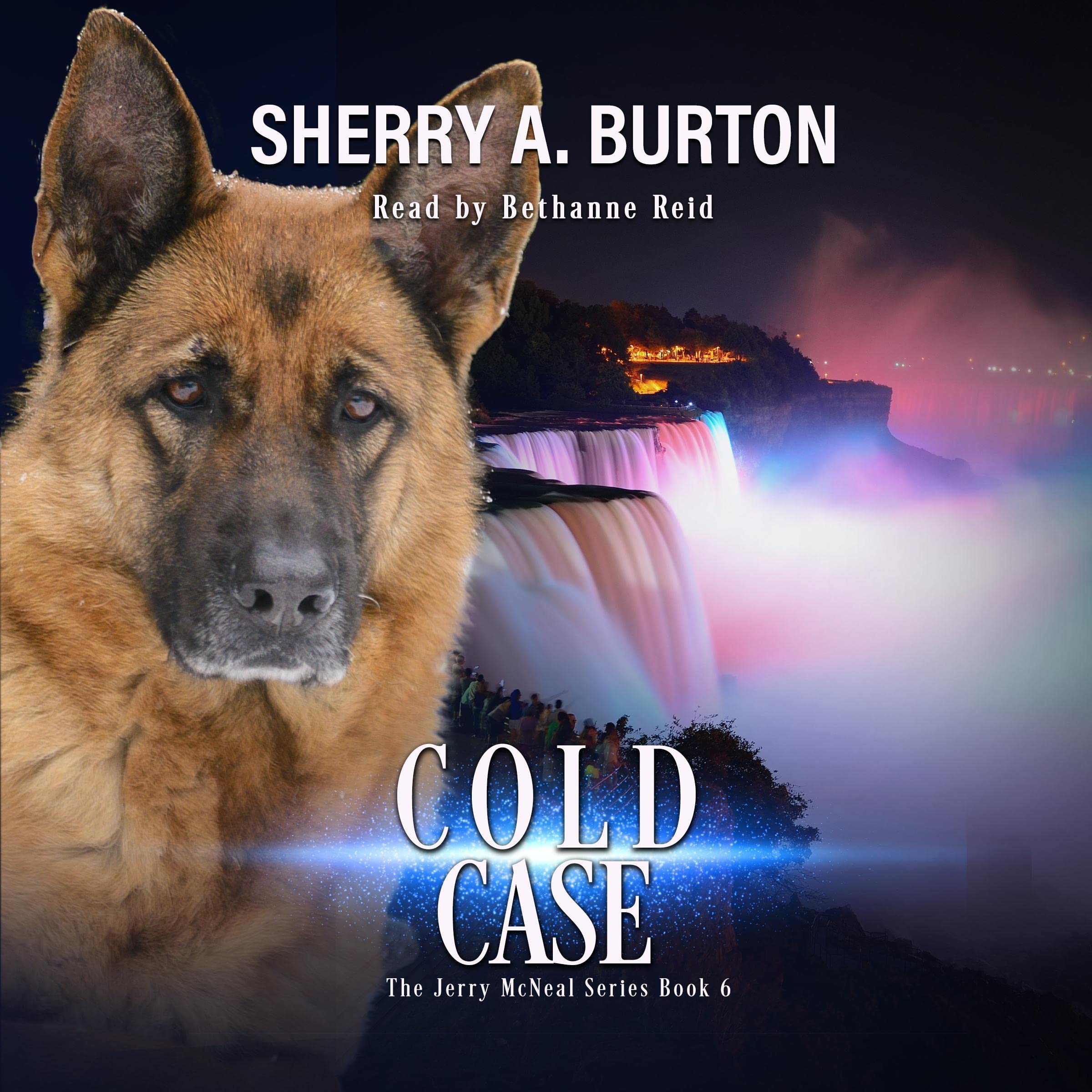Cover art for Cold Case