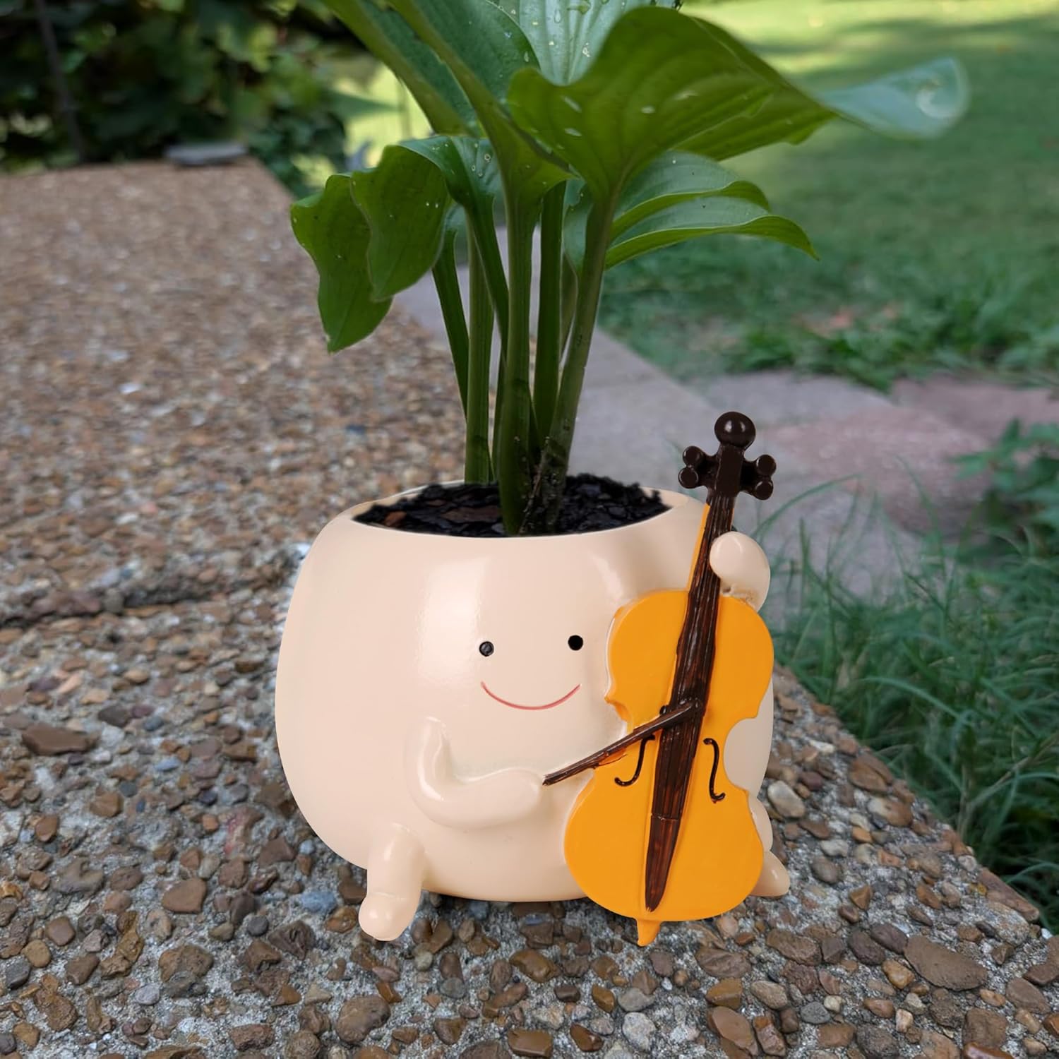 Vermeyen Smiley Cute Face Planter Pot for Succulent with Drainage Hole, Indoor Outdoor Decorative Plant Pots Gift for Grandma,Mother,Plant Lovers,Christmas Medium Violins-Succulent Planter Pots