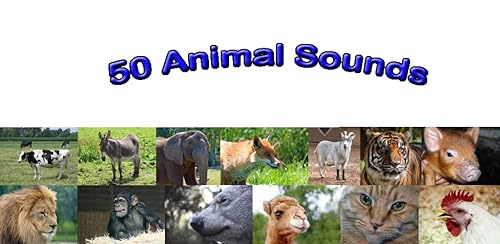 50 Animal Sounds
