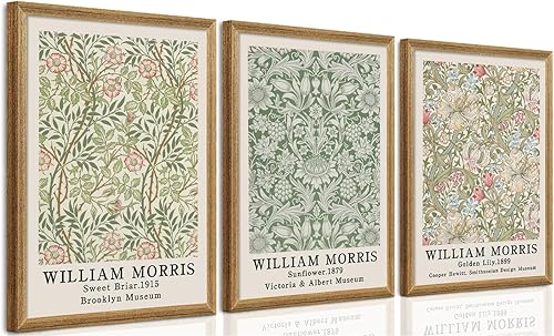 SYWENNOI 3 marcos de madera vintage en lienzo floral para pared, arte texturizado de William Morris, decoración de pared, diseño botánico de girasol