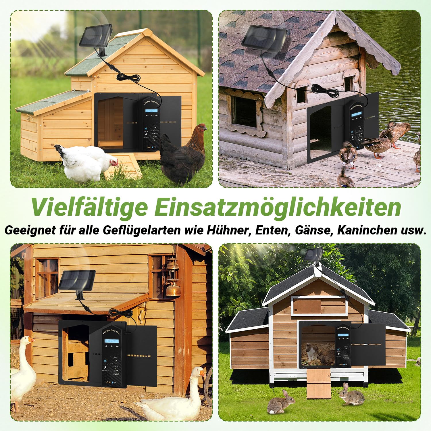 Automatische Hühnerklappe Solar, IP65 mit Display & Fernbedienung