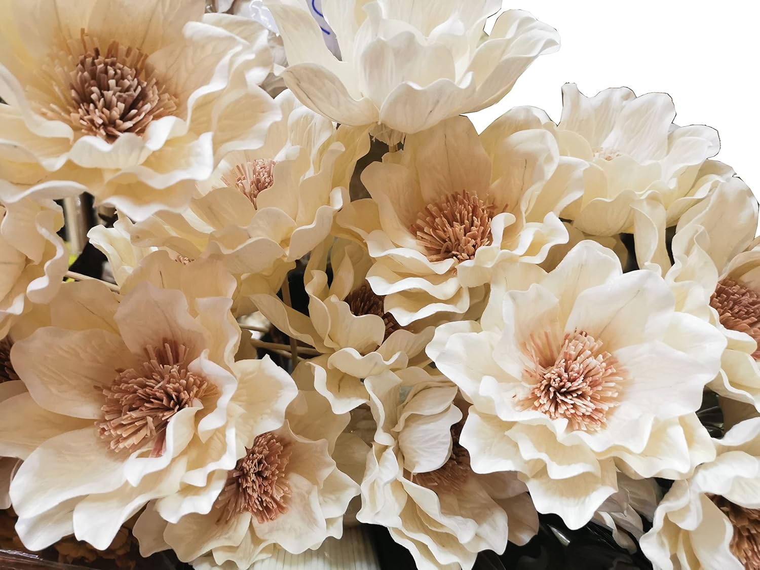 5 Rare Grandiflora Lily White Pink 6" Sola Flower with Reed Diffuser for Large Room by Plawanature