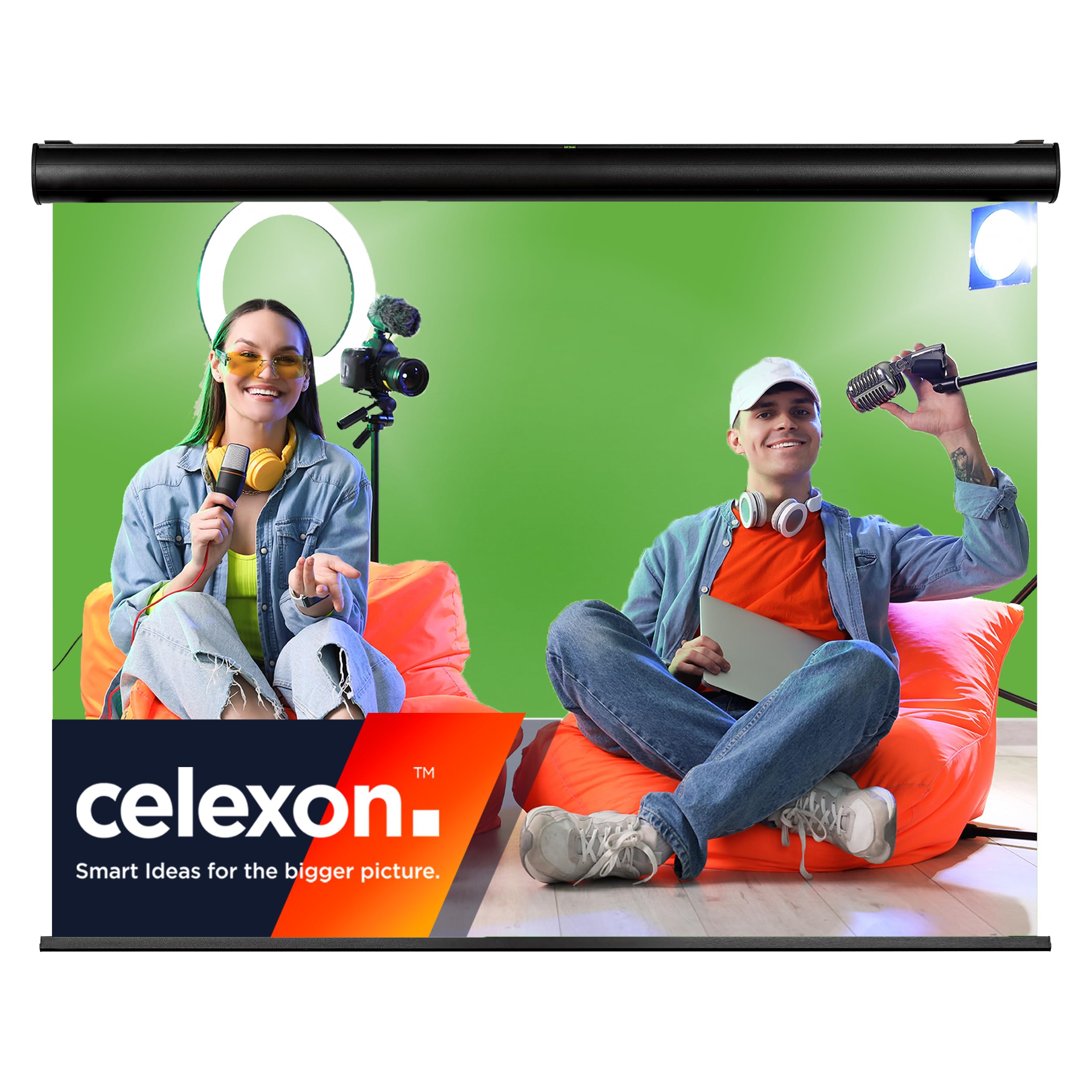celexon écran Vert motorisé Chroma-​Key 175" | 350x265 cm 4:​3 | Fond Photo-​vidéo électrique idéal pour interviews, tournages ou Live Streaming | Montage Mural ou au Plafond