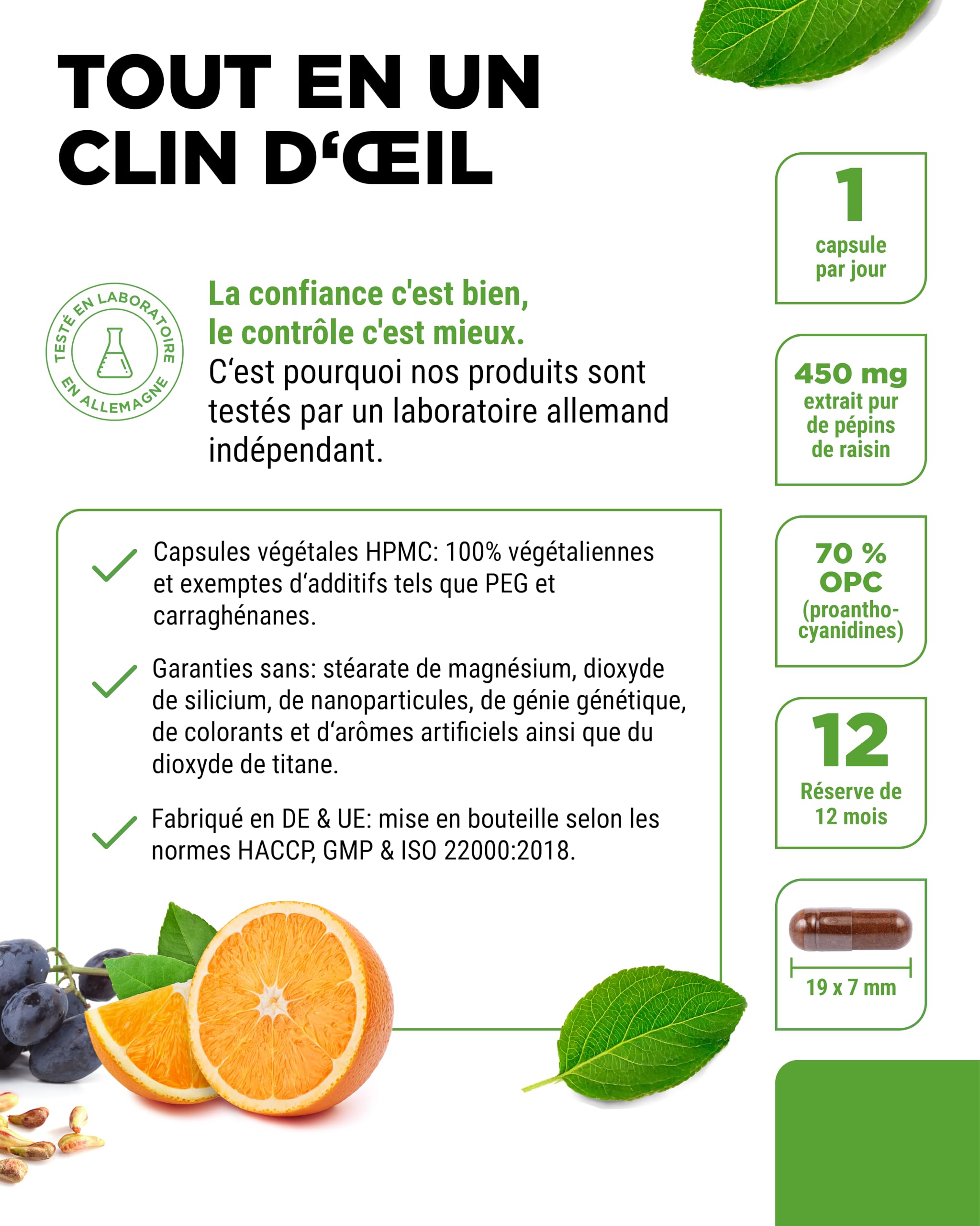 Extrait de Pépins de Raisin OPC + Vitamine C Naturelle - 365 capsules pour 12 Mois - Teneur en OPC la Plus Élevée selon HPLC - De Raisin - Vegan