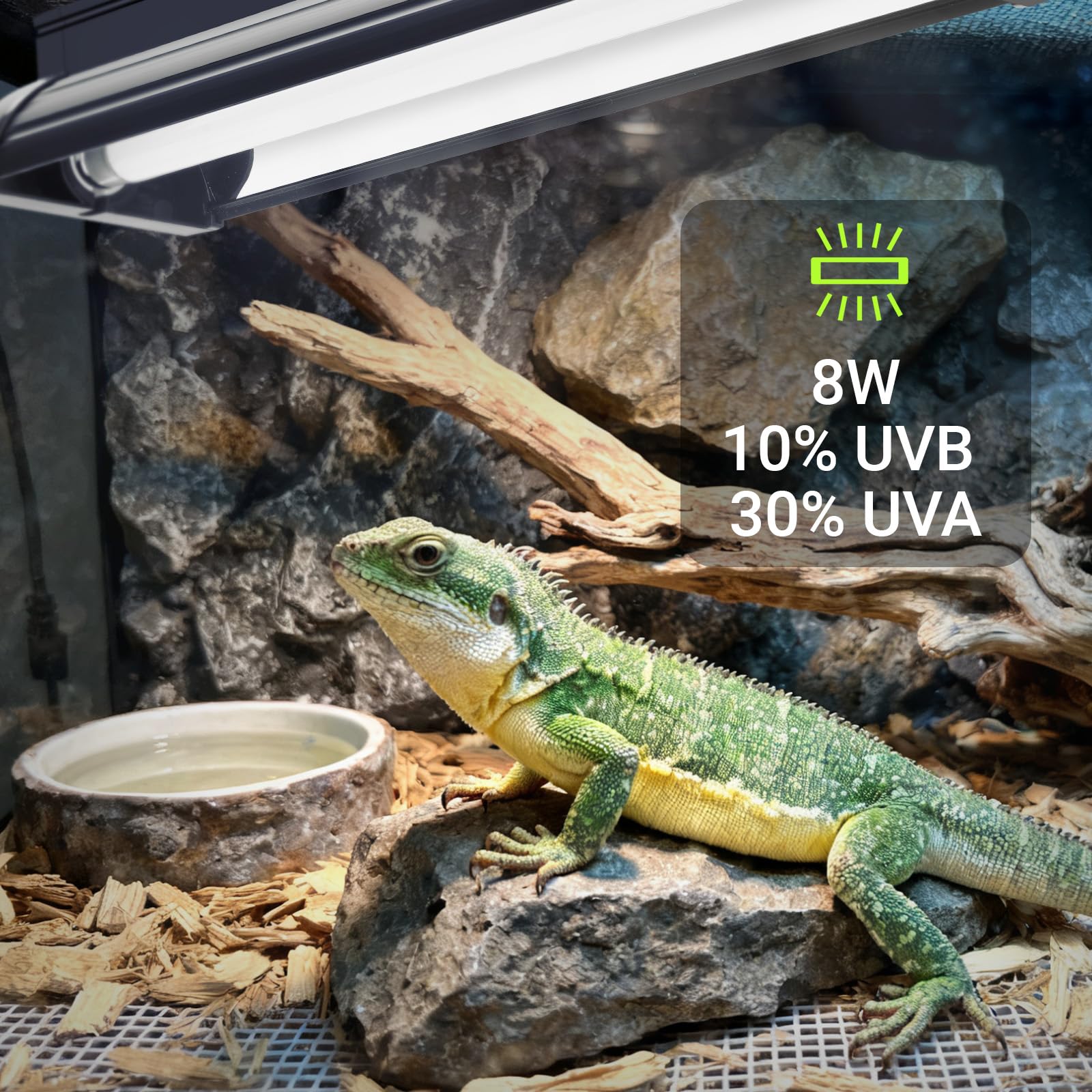 T5 UVB-Licht-Reptilien-Set 10% UVB 30% UVA 31,5 cm Hochleistungshalterung für Bartagamen Eidechsen Schildkröten
