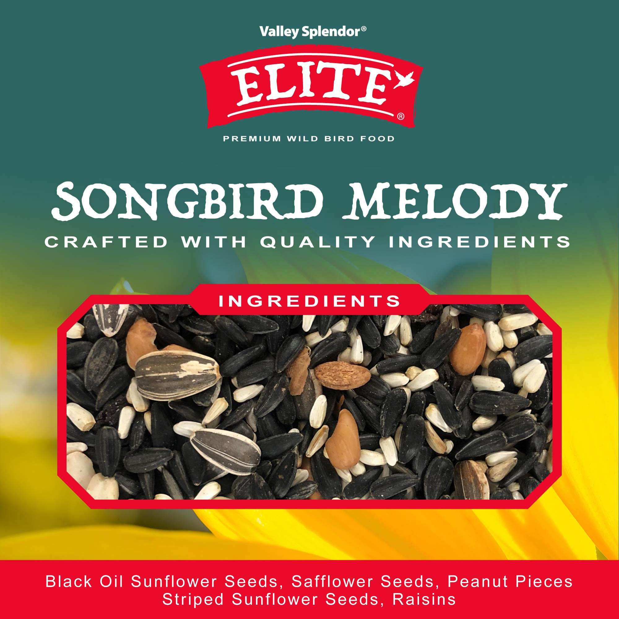 Amazon.com : Songbird Melody : Patio, Lawn & Garden