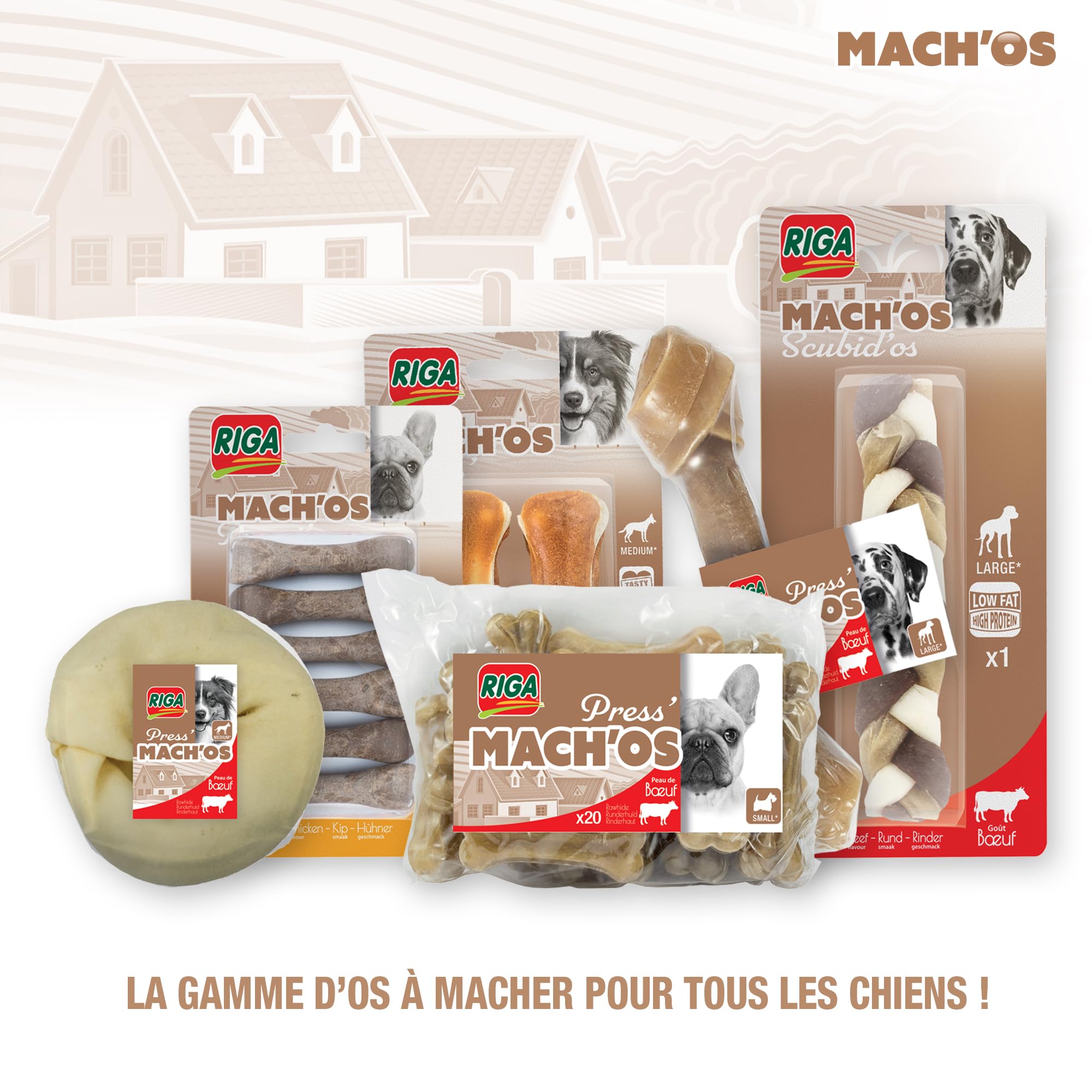 RIGA - Mach'os - Bon'os pour Chien S - Riche en Protéines Et Calcium - Hygiène Buccale - Mastication Et Récompense - pour Petit Chien - x 6