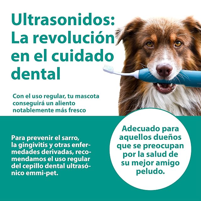 Foto 3 de 6 de emmi-pet 2x A2 (M) Cabezales de Cepillo Dental Ultrasónico Grandes emmi-pet 1.0 y 2.0 I Previene el Sarro
