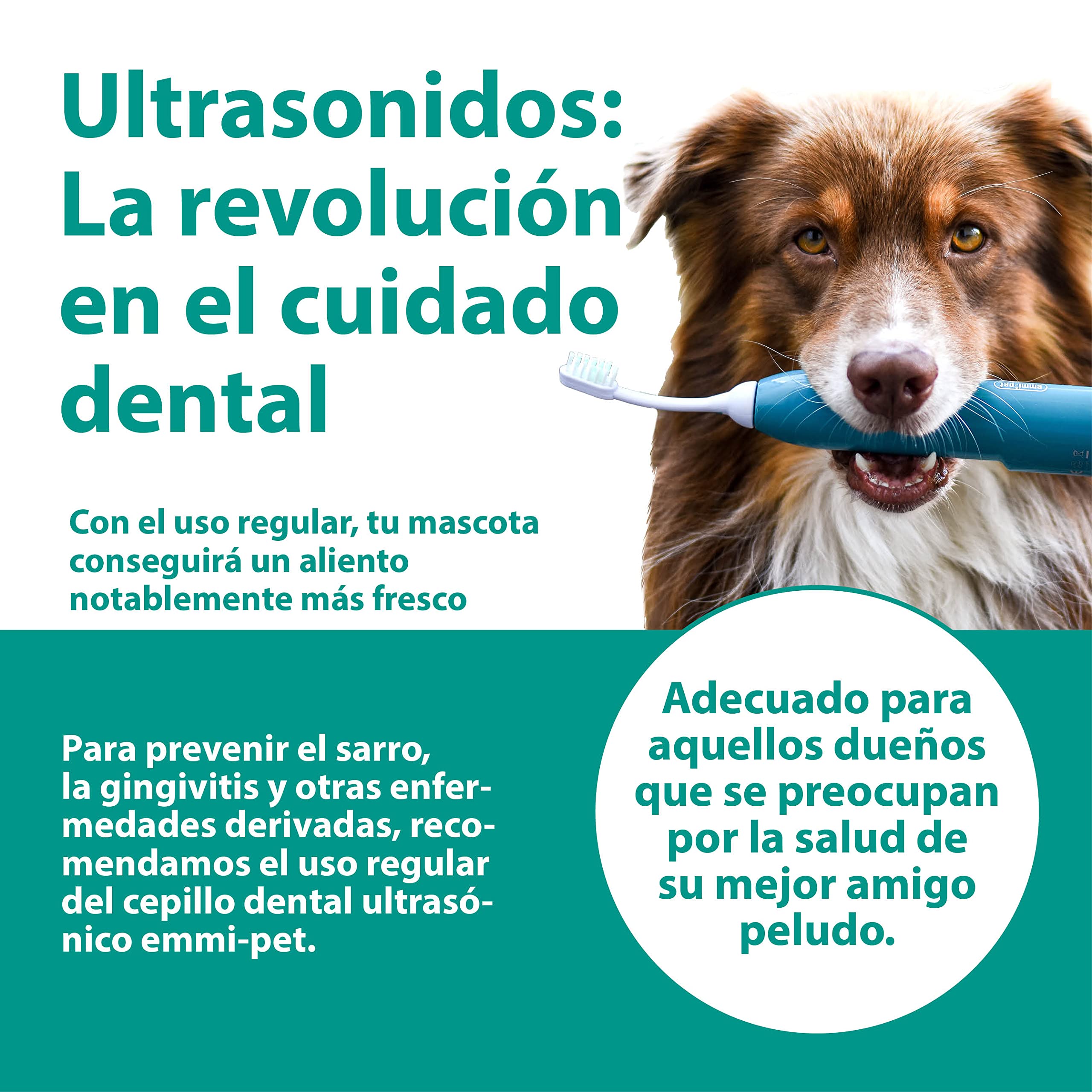 emmi®-pet Set de Cuidado Básico 2.0 para Perros, Gatos y Caballos I Para el Cuidado de Heridas, la Piel y el Aseo de Perros, Gatos, Caballos y Demás Mascotas