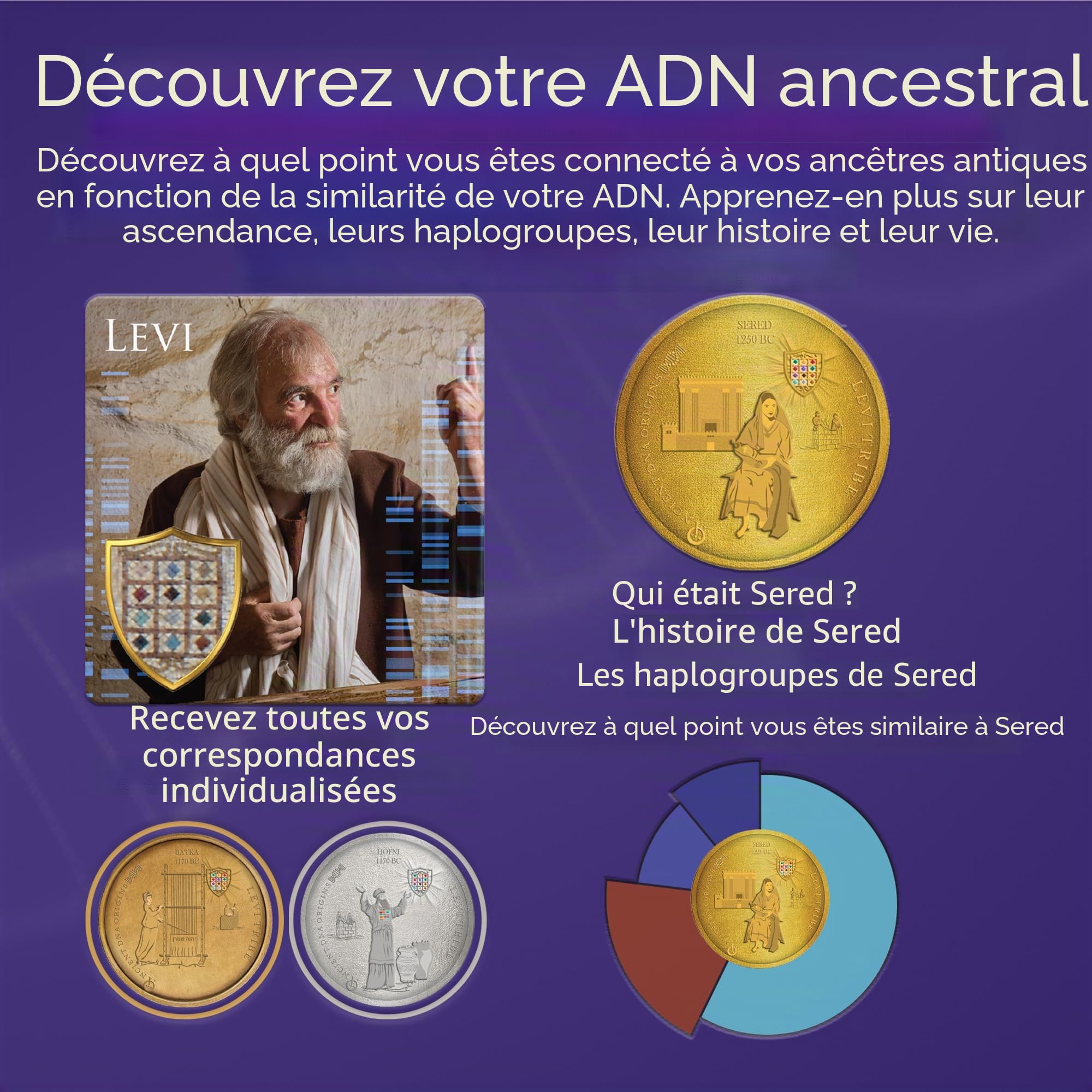 Téléchargez votre fichier ADN autosomal brut et découvrez votre héritage avec le test d'ascendance "Tribes of Israel: Levi" par Ancient DNA Hub | Tracez les racines tribales, la lignée historique et
