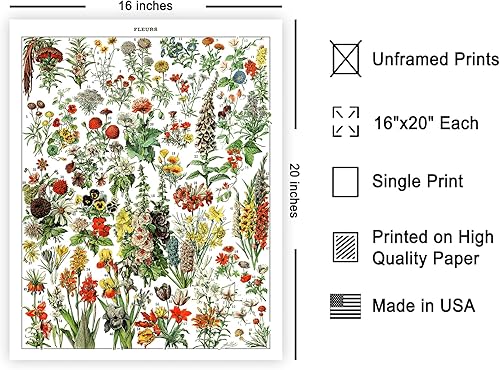 Miniatura 536 de Poster Master Póster vintage de orquídea, estampado de flores retro, arte de pared de plantas exóticas, arte botánico, regalo para hombres y