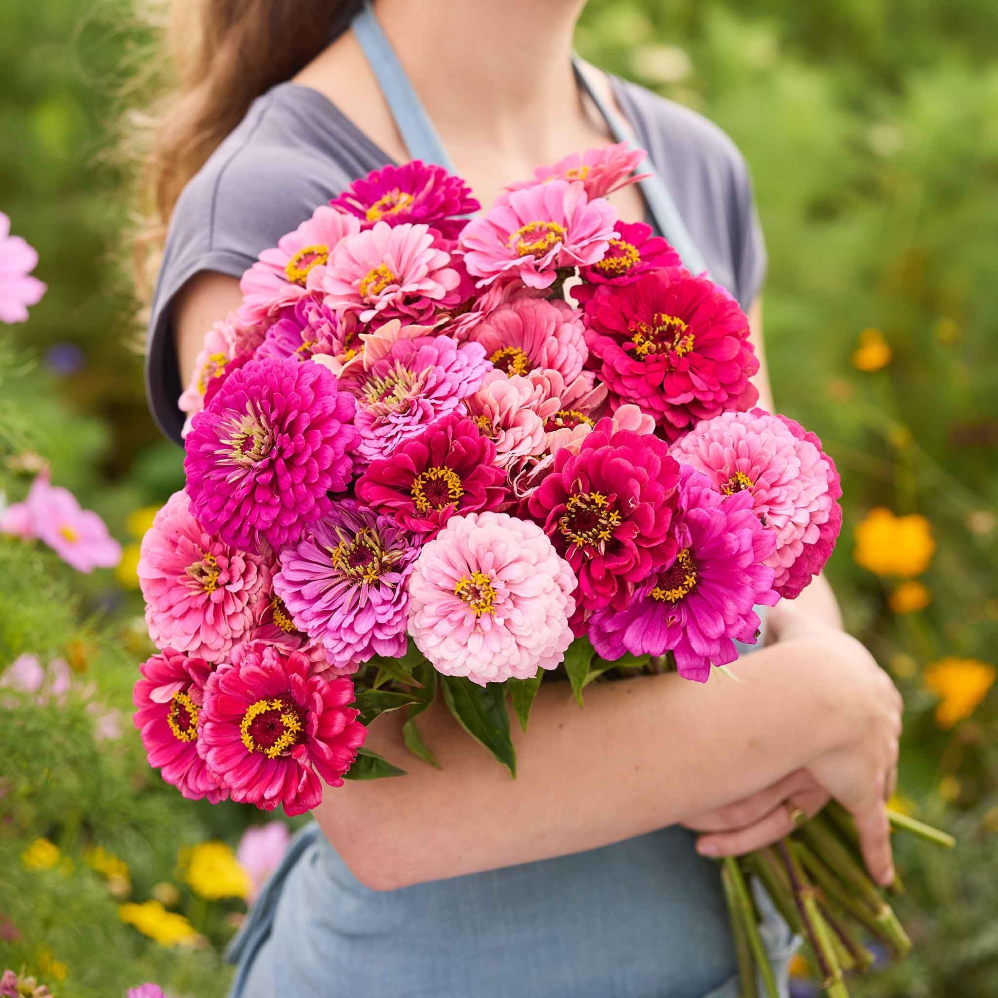 Eden Brothers Zinnia Seeds - Art Deco Mix, Non-GMO Seeds for Planting, Packet | Low-Maintenance Flower Seeds, Plant During Spring, Zones 3, 4, 5, 6, 7, 8, 9, 10
