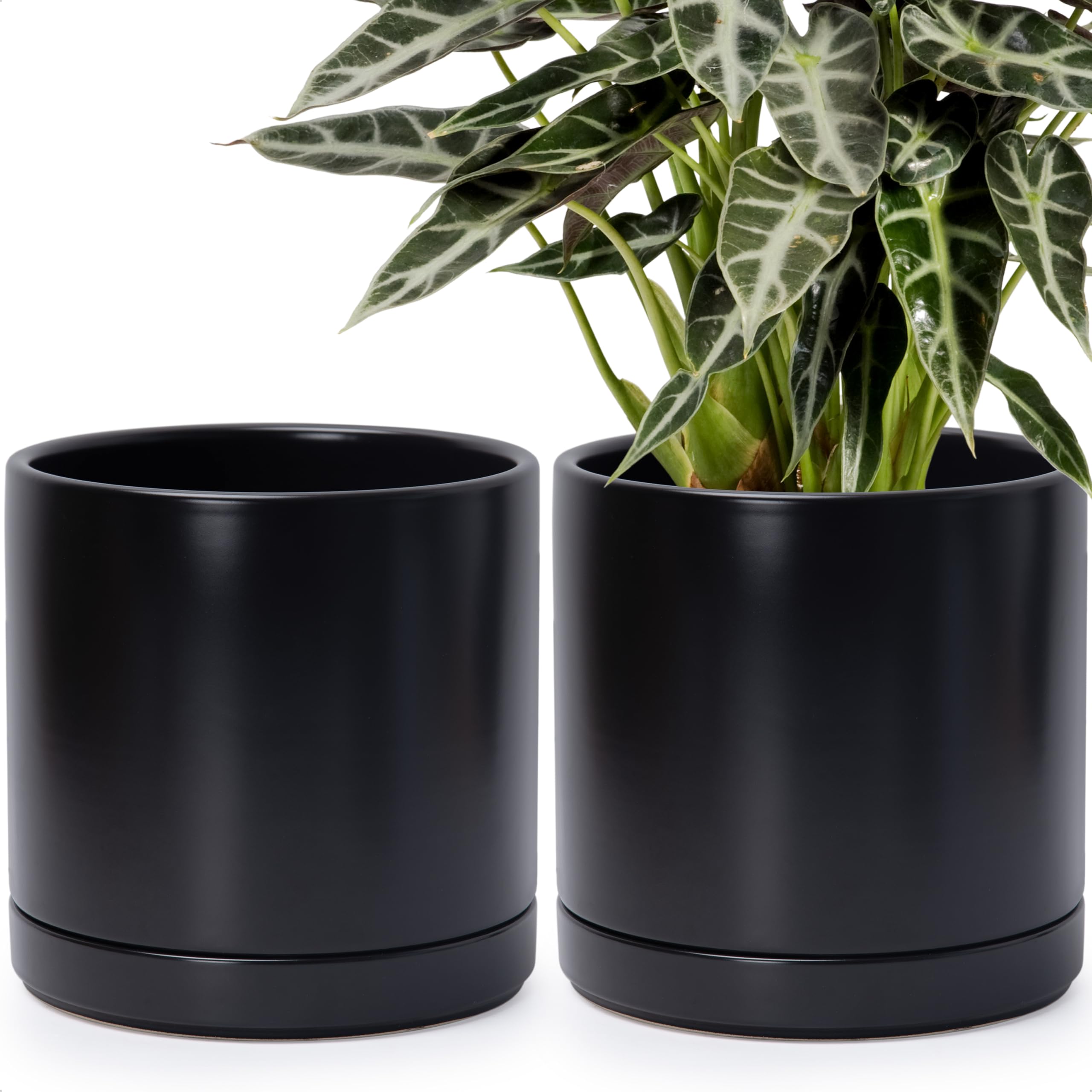 D'vine Dev Set of 2 Plants Pots, 10 Inch Ceramic Planter Pot for Plants with Drainage Hole and Saucer, Olive, 94-V-E-J