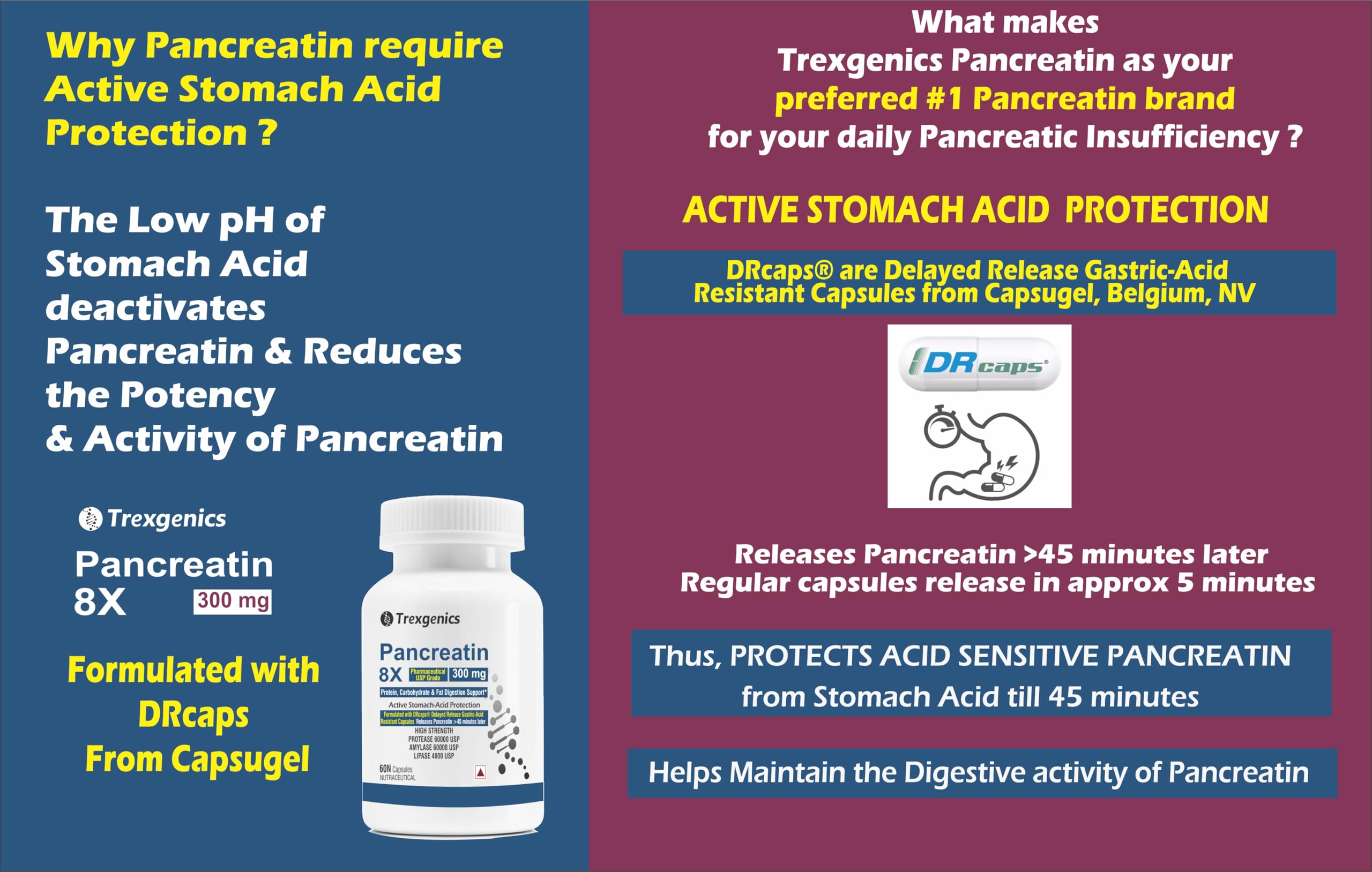 Trexgenics PANCREATIN 300 mg 8X Pharmaceutical Grade Stomach Acid Protected Protease 60000 USP, Amylase 60000 USP, 4800 USP Lipase Digestive Health Support (60 DRcaps) — Amazon image 5