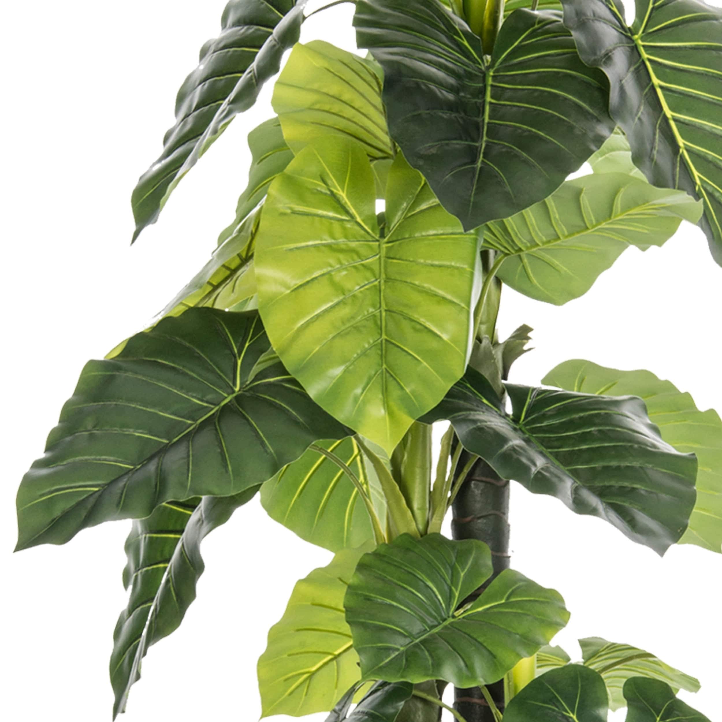 Amazon.co.jp: Vintage Home 91インチ 高さ/アウトドア 象 耳植物