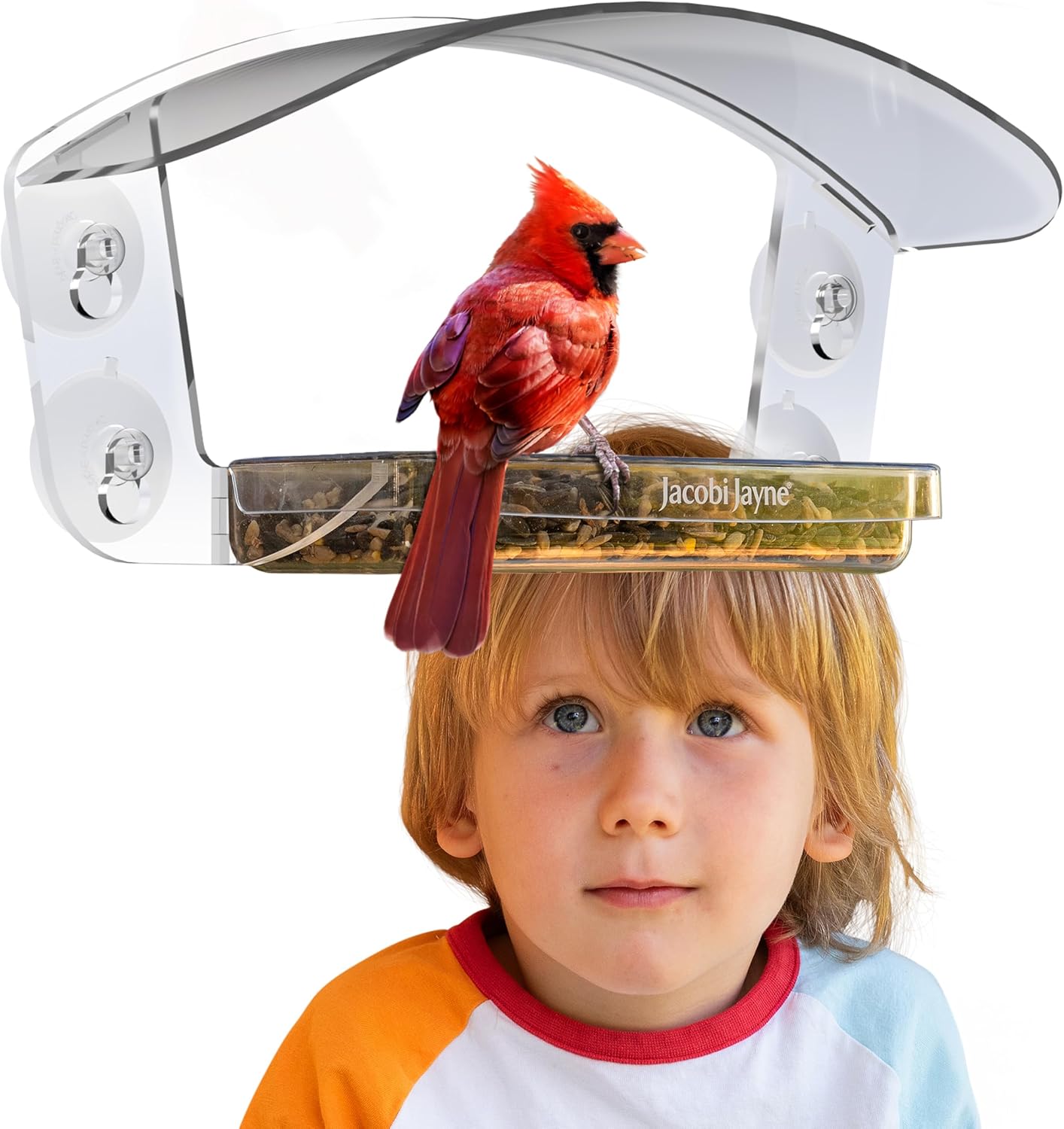Transparent Acrylic Bird House with Sliding Tray - Jacobi Jayne® Sky Deck™ Window Feeder - Strong Suction Cups Secure This Clear Design for Close-up Bird Watching from Your Home.