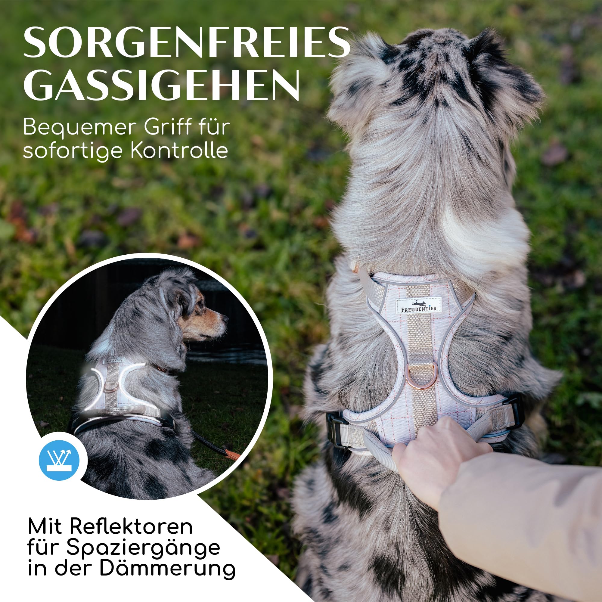 FREUDENTIER Hundegeschirr mit Griff, atmungsaktiv gepolstert - Bombenfester Sitz & maximale Sicherheit - Anti Zieh Brustgeschirr kleine, mittelgroße & Grosse Hunde
