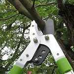 Bypass Lopper with Extendable, Anvil Lopper Heavy Duty, Tree Trimmer Telescopic 26-41 Inch, Garden Pruner 5 Sections Handle Adjustment, Branch Cutter with 2 Inch Cut Capacity