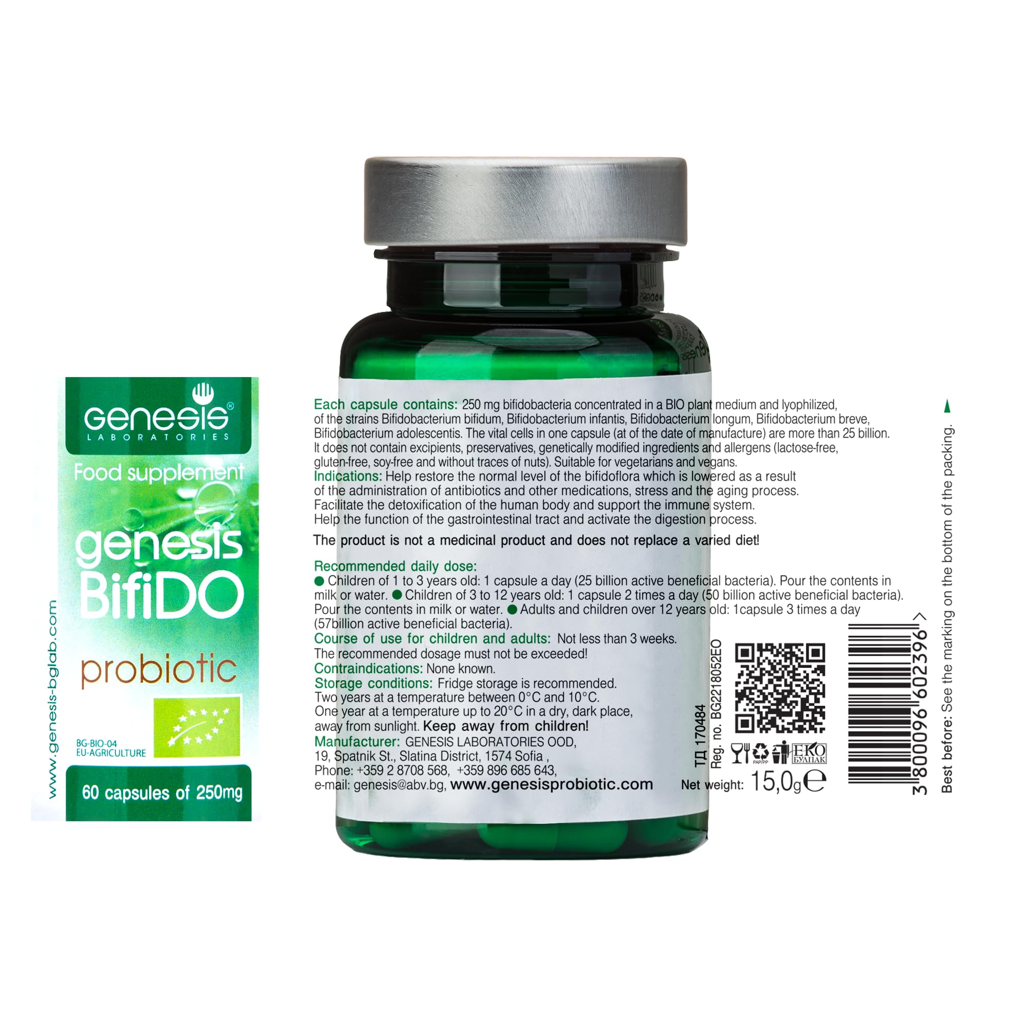 BIO Vegan Bifidobakterien Probiotika – Darmbakterien Kapseln für Darmflora Aufbau & Darmsanierung – Laktosefrei, Glutenfrei, Ohne Soja, Vegetarisch – 240 mg Hochwertiger Kulturen Komplex 60 caps