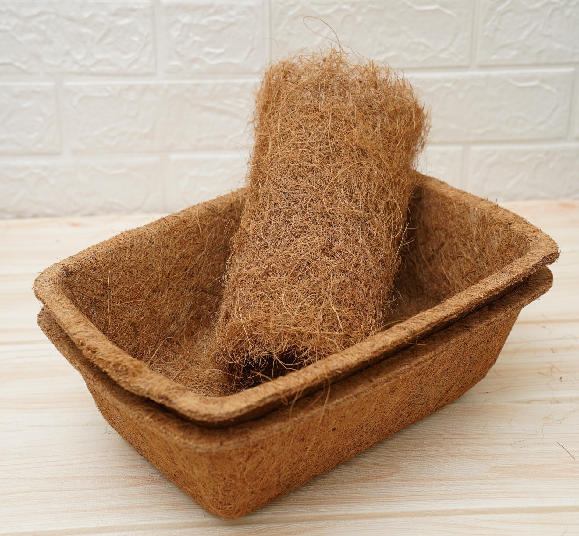 GOLD DUST Microgreen Growing Trays, Seedling Trays for Plants, Hydroponic Tray, Seed Trays for Germination, Wheat Grass Trays for Planting, Seedling Trays Coir, Coco Tray (Pack of 2) (B0CBW3FT1Y) Amazon Price History, Amazon Price Tracker