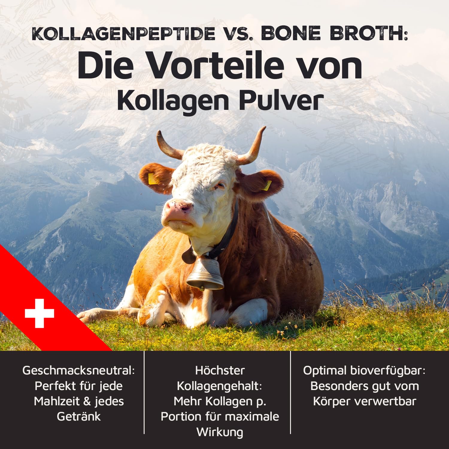 Carnivoro Lot de 2 poudres de collagène de bœuf [450 g] + tasse Carnivoro - Hydrolysate de collagène de qualité supérieure de Suisse - Peptides de type 1 et 3 - Très bonne solubilité - Sans goût