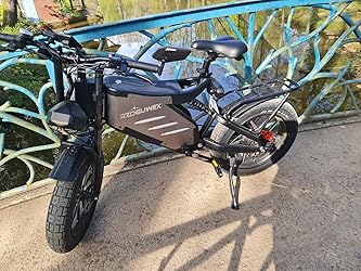RZOGUWEX Elektrofahrrad, 20-Zoll-Offroad-EBIKE für Erwachsene mit ...
