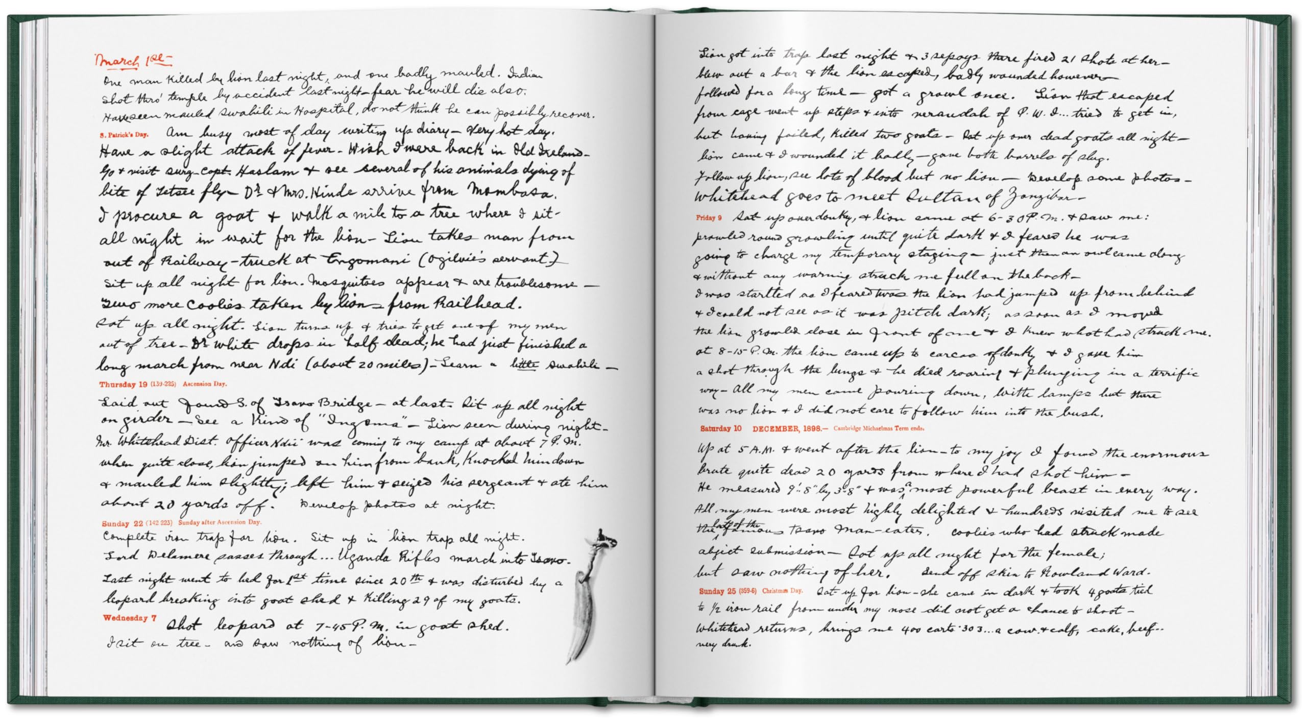 Peter Beard: The End of the Game