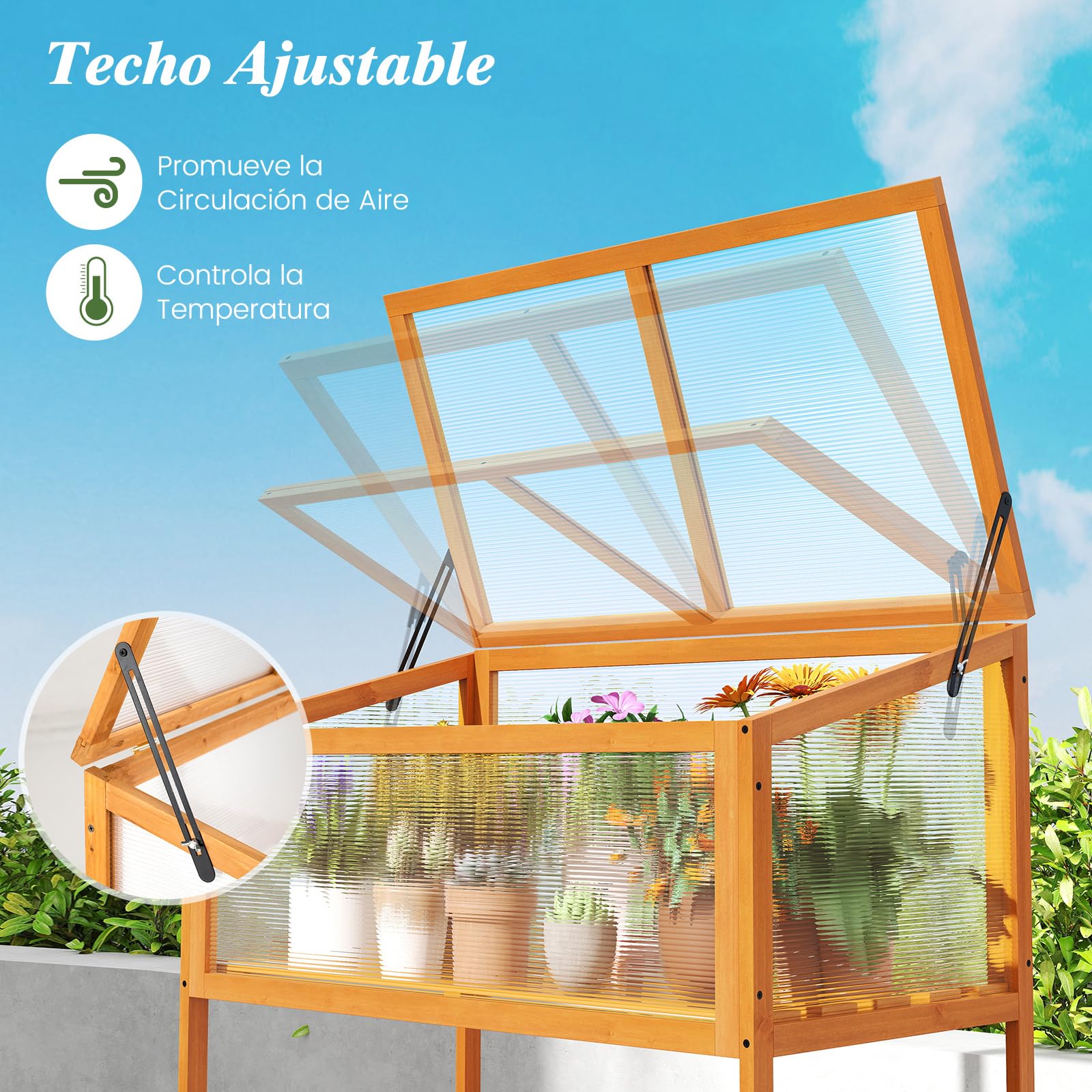 GOPLUS Invernadero de Madera de Cedro, Mini Invernadero con Pantalla Transparente， Techo Abrible, Estante de Almacenamiento de Listones, Protección de Macetas para Interior y Exterior