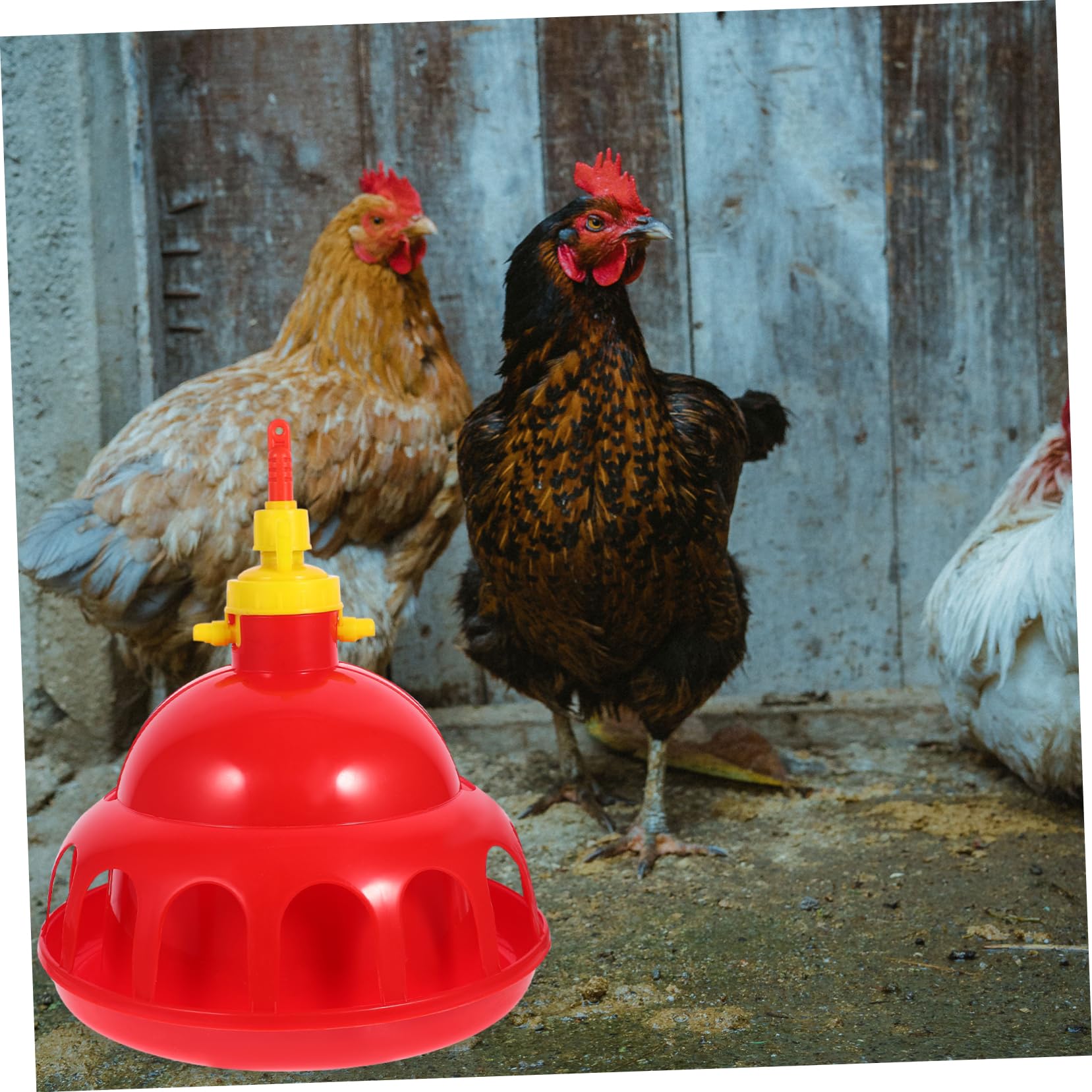 Abbeveratoio per Pollame Automatico in Pp Rosso per Quaglie e Galline | Beverini per Galline Automatico, Facile da Usare e Sicuro, per Fattoria e Negozio