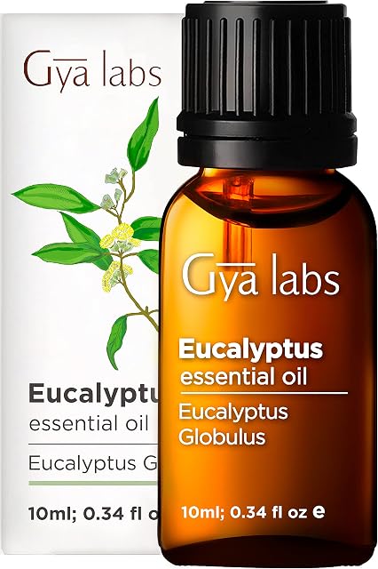 Gya Labs Eucalyptus Essential Oil - 100% Pure and Natural Eucalyptus Oil - Eucalyptus Oil for Diffuser, Fresh, Minty & Relieving Scent (10ml)