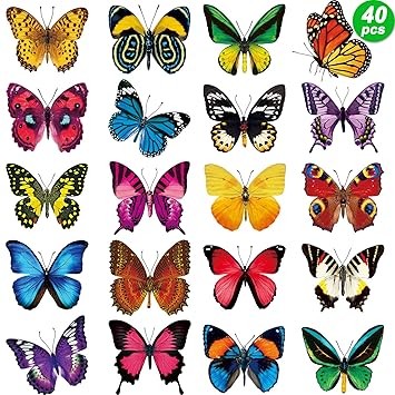 Outus 40 Pieces Butterfly Anti-Collision Window Clings Birds Alert Window Decals to Prevent People and Bird Strikes on Window Glass Cling Decor for Windows and Doors
