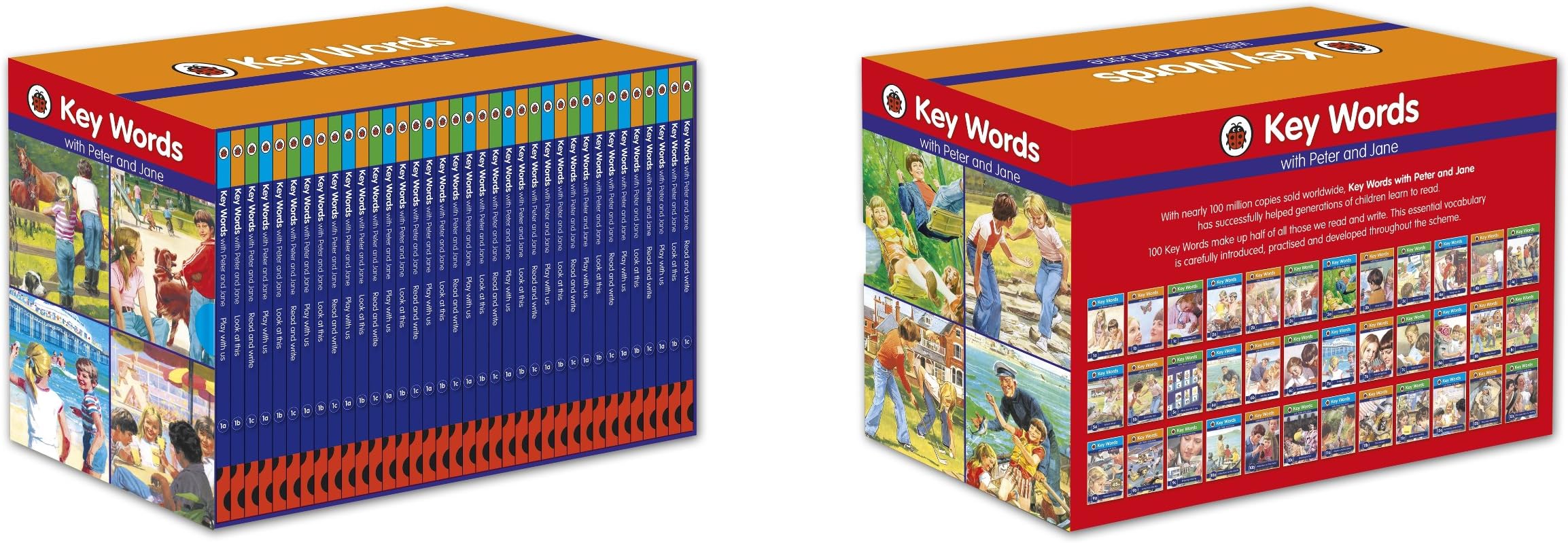Key Words Collection x36