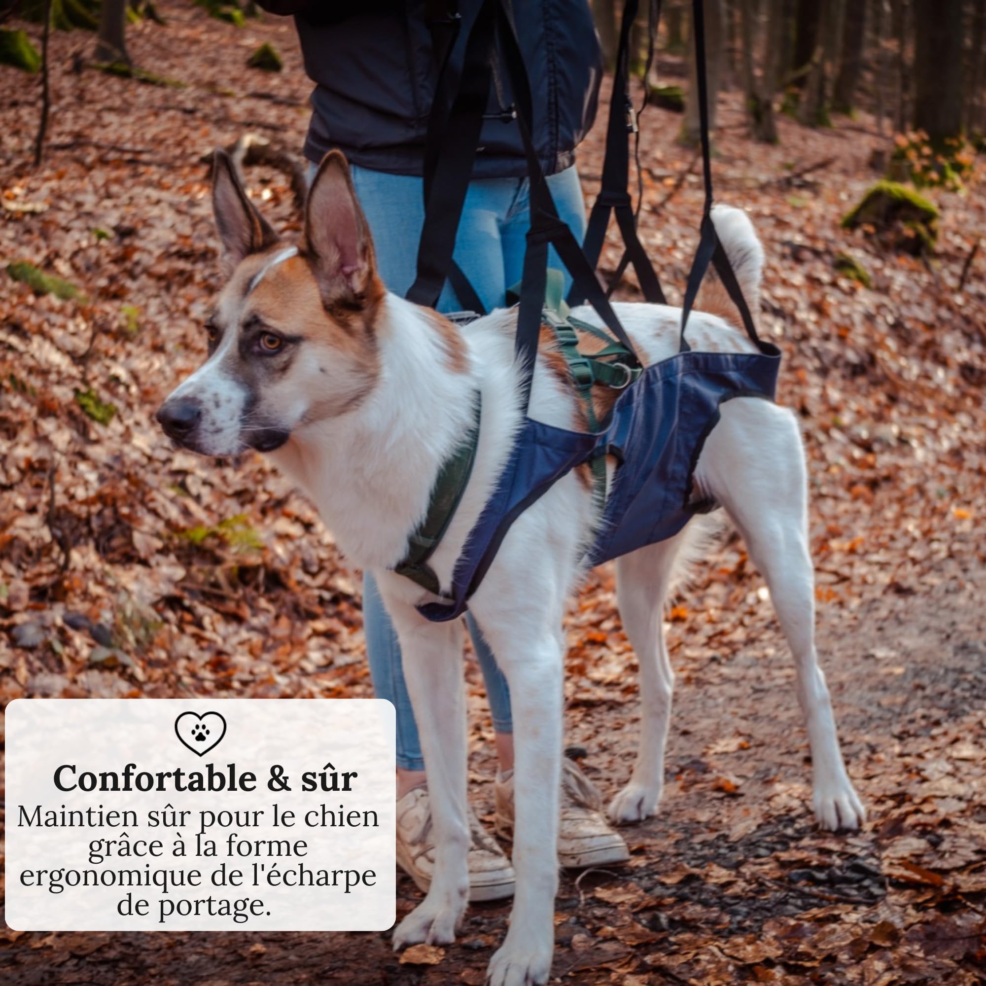 Aide au transport pour chien - Sac à dos d'urgence lors de randonnées ou sac de transport pour chien au quotidien dans les escaliers - Petit, léger, robuste, de qualité supérieure