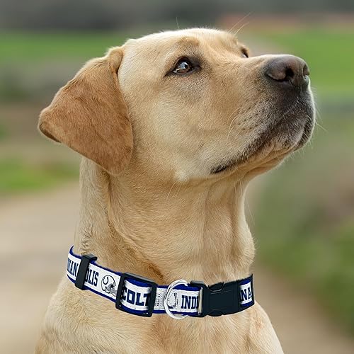 Miniatura 179 de NFL - Collar para perro de Philadelphia Eagles, collar mediano del equipo de fútbol para perros y gatos. Un collar brillante y colorido para gatos