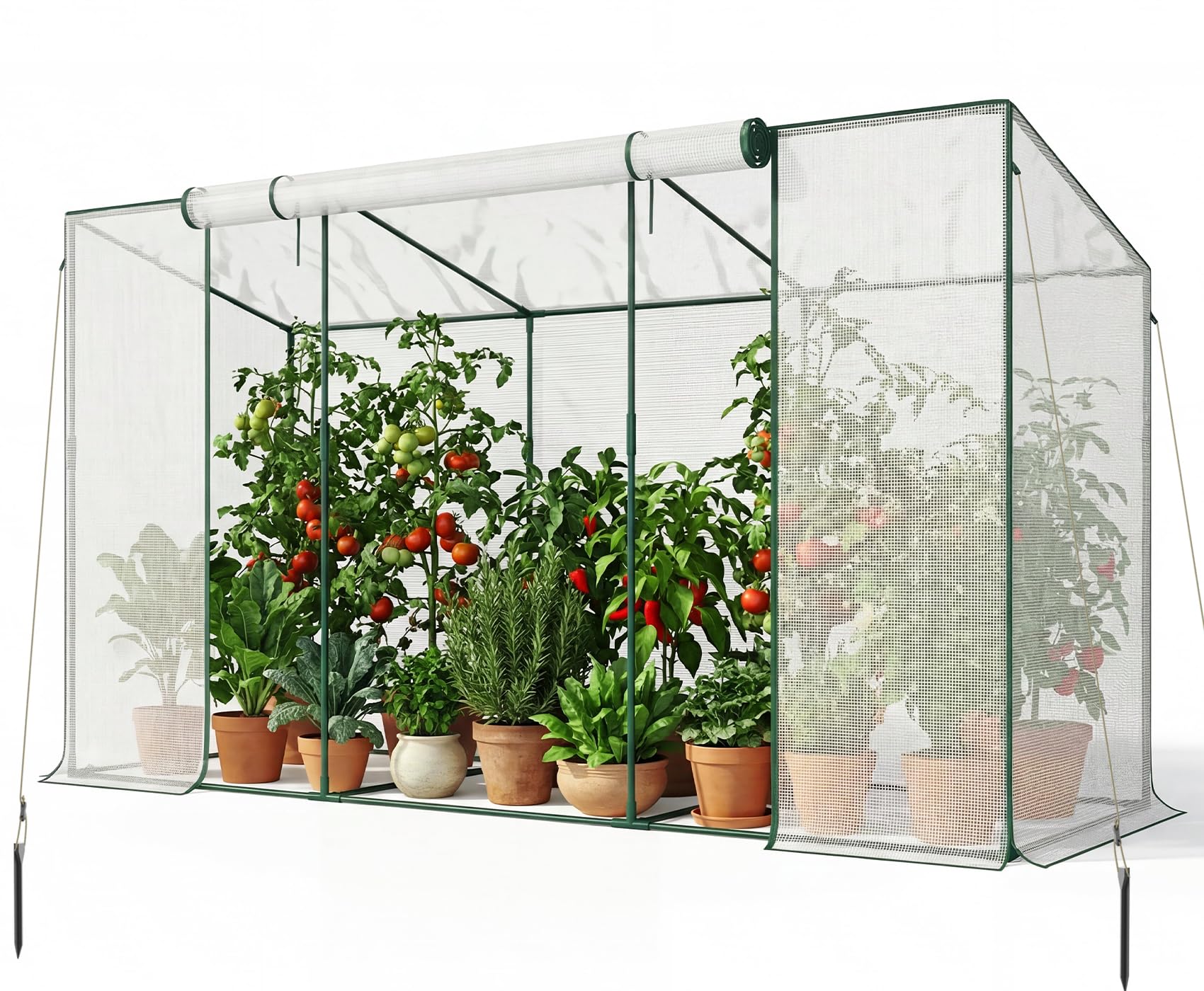 SUNYRISY Tomaten Gewächshaus Klein Foliengewächshaus 300x100x170 cm