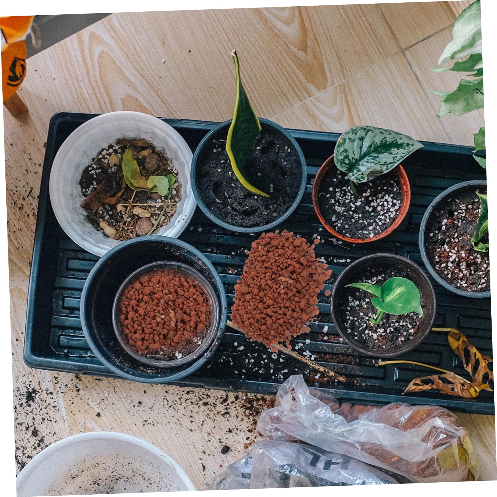 5taschen Beutel Vulkansteine Für Aquarien Und Pflanzen Dekorative Steine Für Fischbecken Blumentöpfe Und Bonsai Naturstein Deko Für Innenräume Und Terrarien