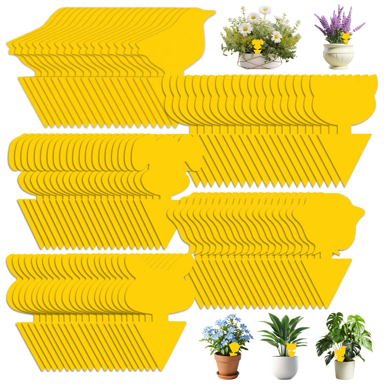 100 PCS Fruit Fly Traps, Double-sided Fungus Gnat Sticky