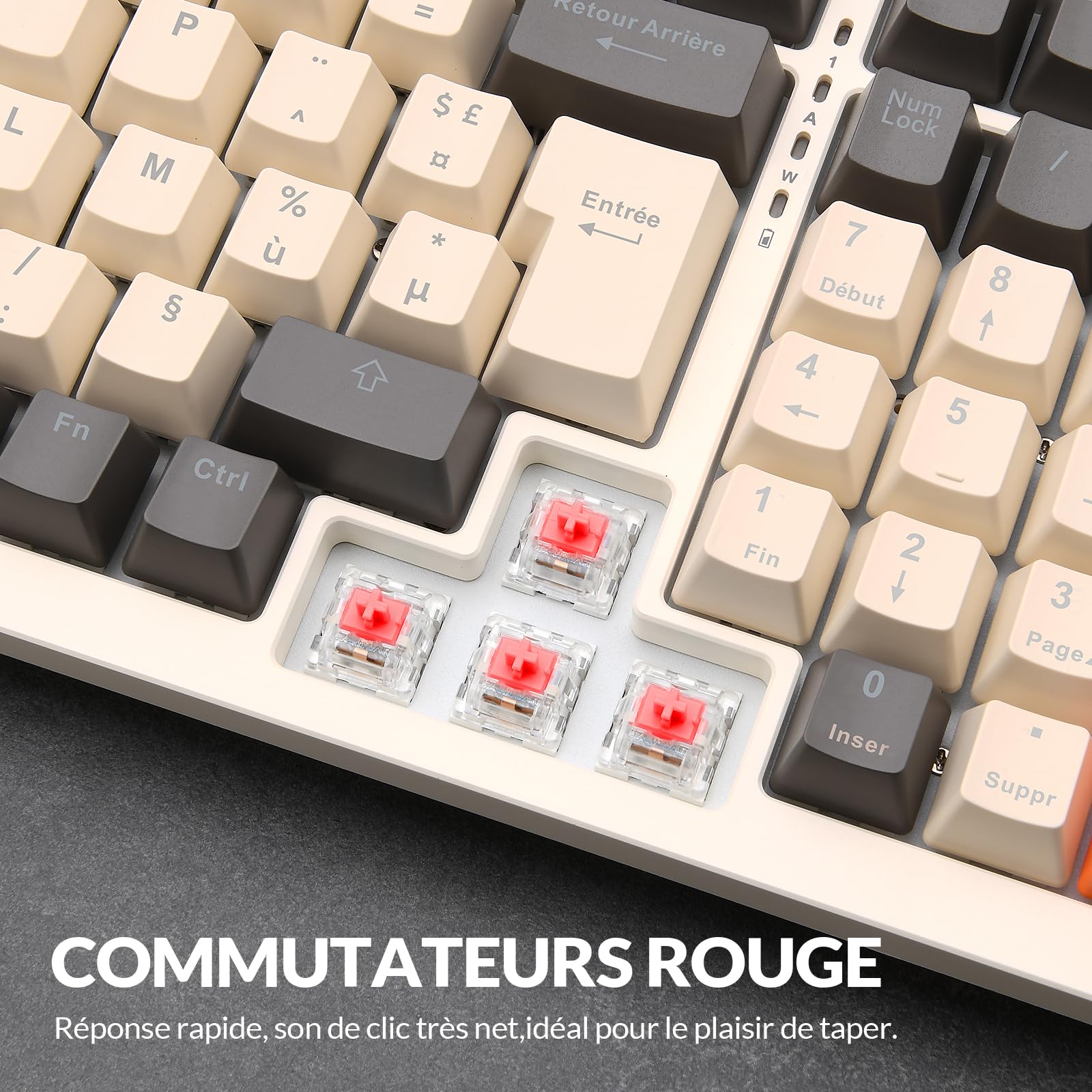 Rii Clavier Mécanique de Jeu Mécanique sans Fil avec pavé Numérique,3 Modes(2.4 GHz/Bluetooth/Filaire),Rétroéclairage LED,Interrupteurs Rouges,101 Touches 96% Layout,pour PC/Windows/Mac/Smartphone