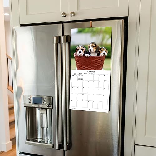 Miniatura 5 de Calendario mensual de pared de pastores alemanes 2024, 12 x 24 pulgadas, papel grueso y resistente, calendario para perros