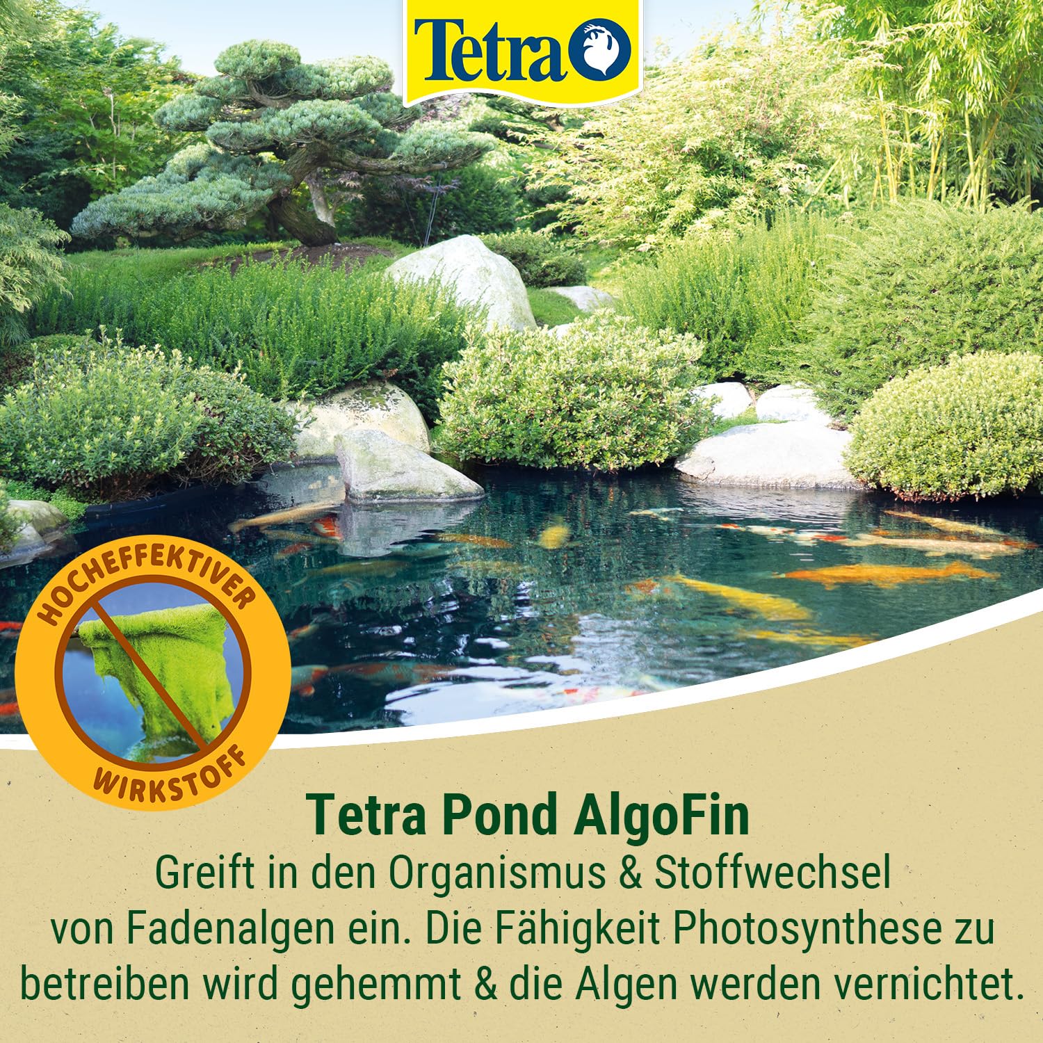 Tetra Pond AlgoFin Teich Algenvernichter - wirkt effektiv bei Fadenalgen, Schwebealgen und Schmieralgen im Gartenteich, 3 L