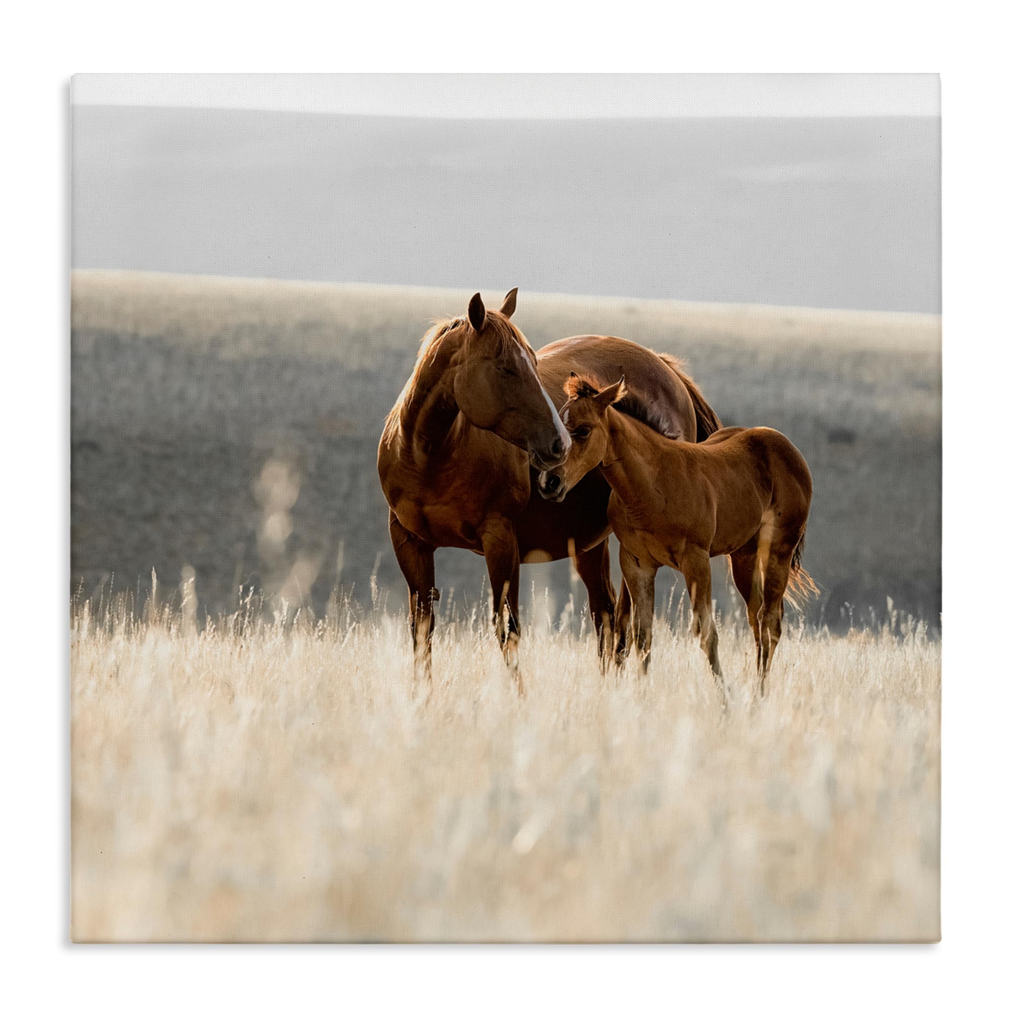 Stupell Industries Unframed 'Montana Mares Landscape'| Canvas Art