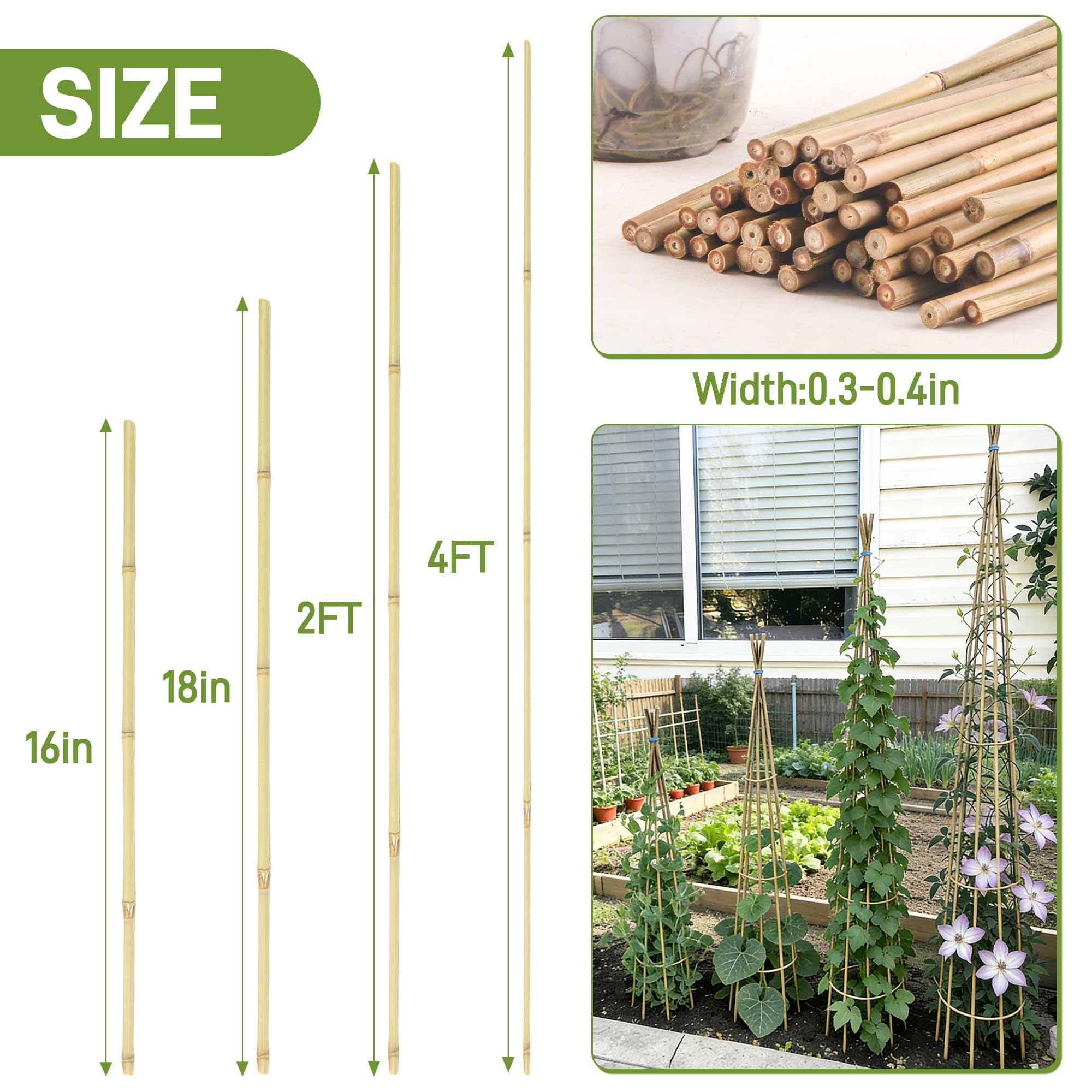 Estacas de jardín de 0.3 a 0.4 pulgadas/4 pies, estacas de bambú natural para plantas de interior y exterior, postes para tomates, frijoles, plantas en maceta (50 unidades)
