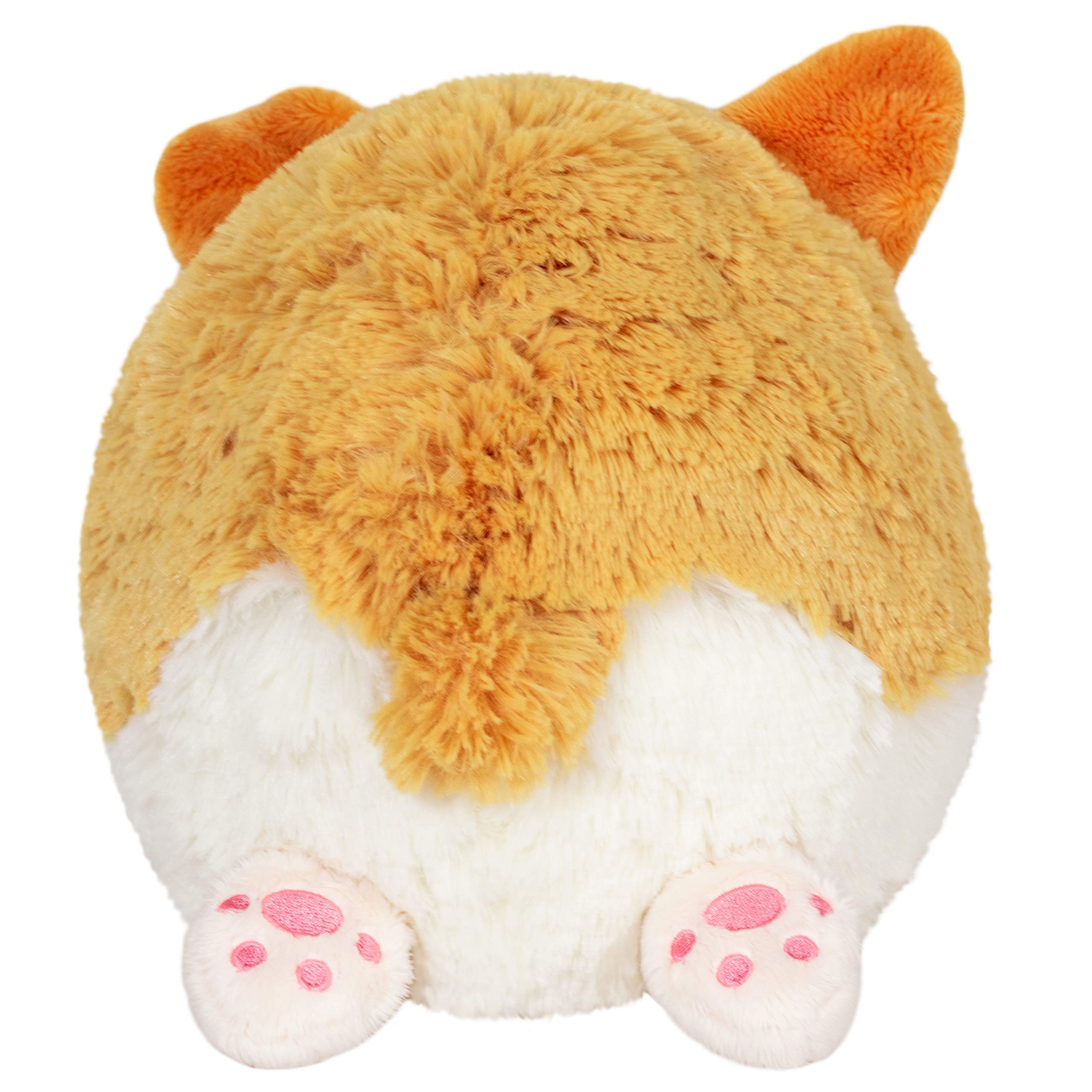 Amazon.com: Squishable / Mini Baby Corgi - 7