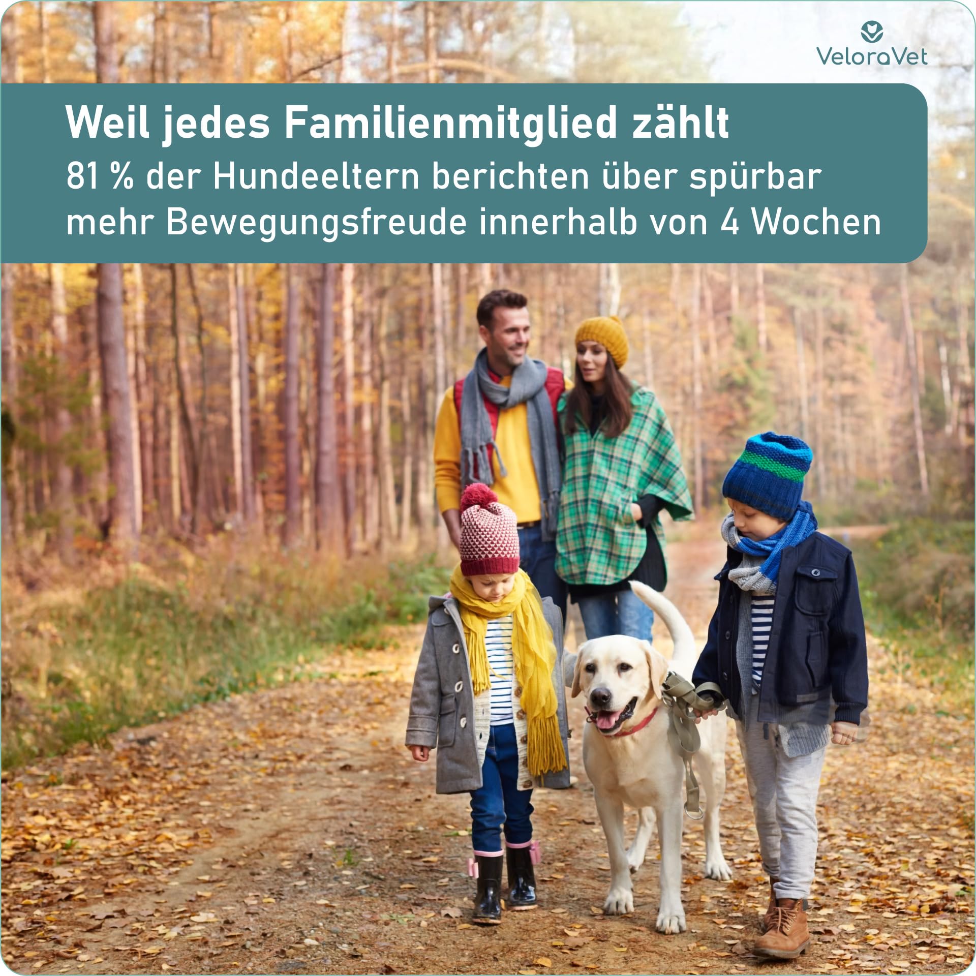 Grünlippmuschel Gelenktabletten Hund – HOCHDOSIERT mit Grünlippmuschelpulver, MSM, Teufelskralle, Glucosamin & Kollagen – Keine Kapseln, hohe Akzeptanz – Gelenk- & Knochenschutz – 60 Stück
