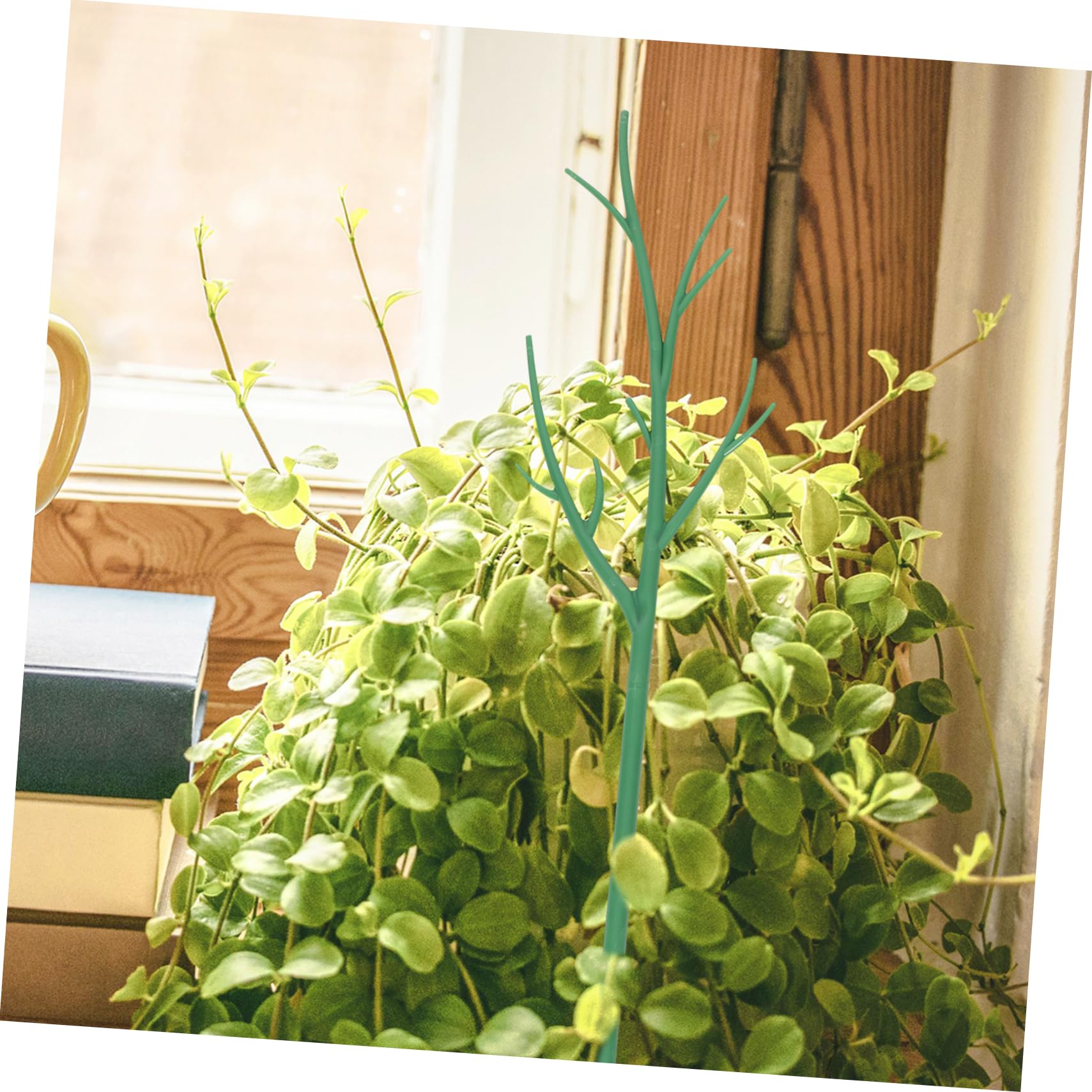 ibasenice Tuteur pour Plantes Grimpantes en Pot Vert 6 Pièces en Plastique